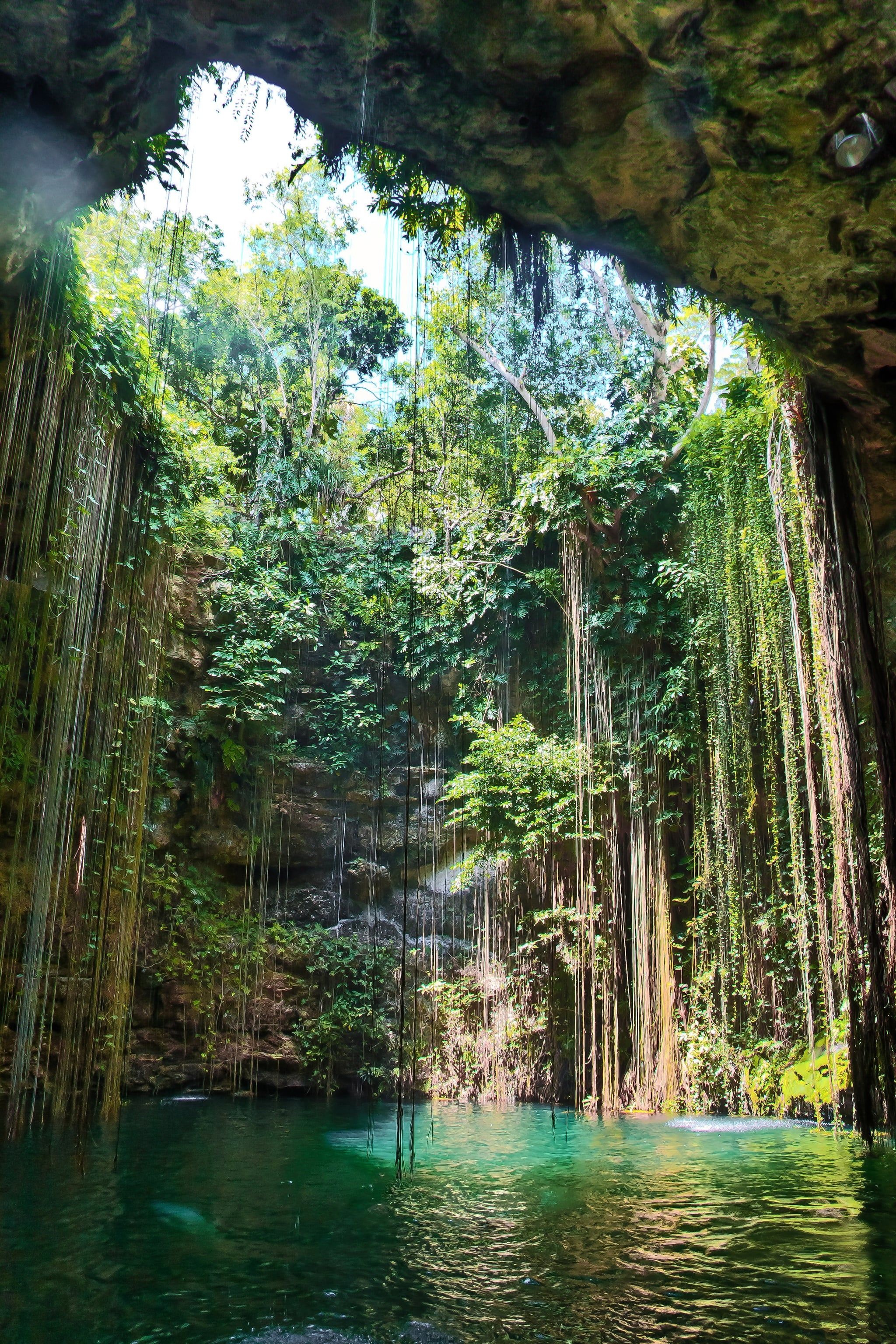 Ik Kil Cenote, Mexican photography, Outdoor adventure, Natural wonders, 2050x3080 HD Phone