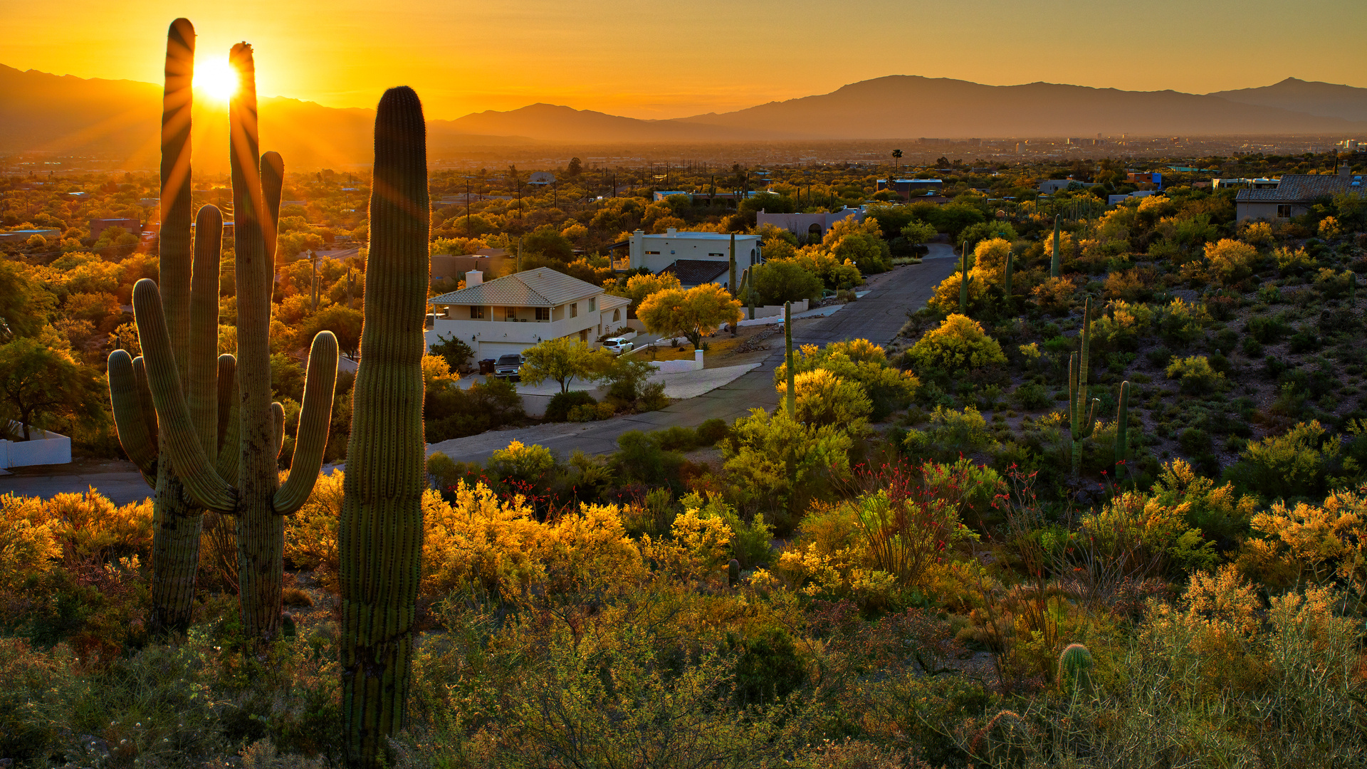 The Hills at Tucson National, Fairfield homes, 1920x1080 Full HD Desktop