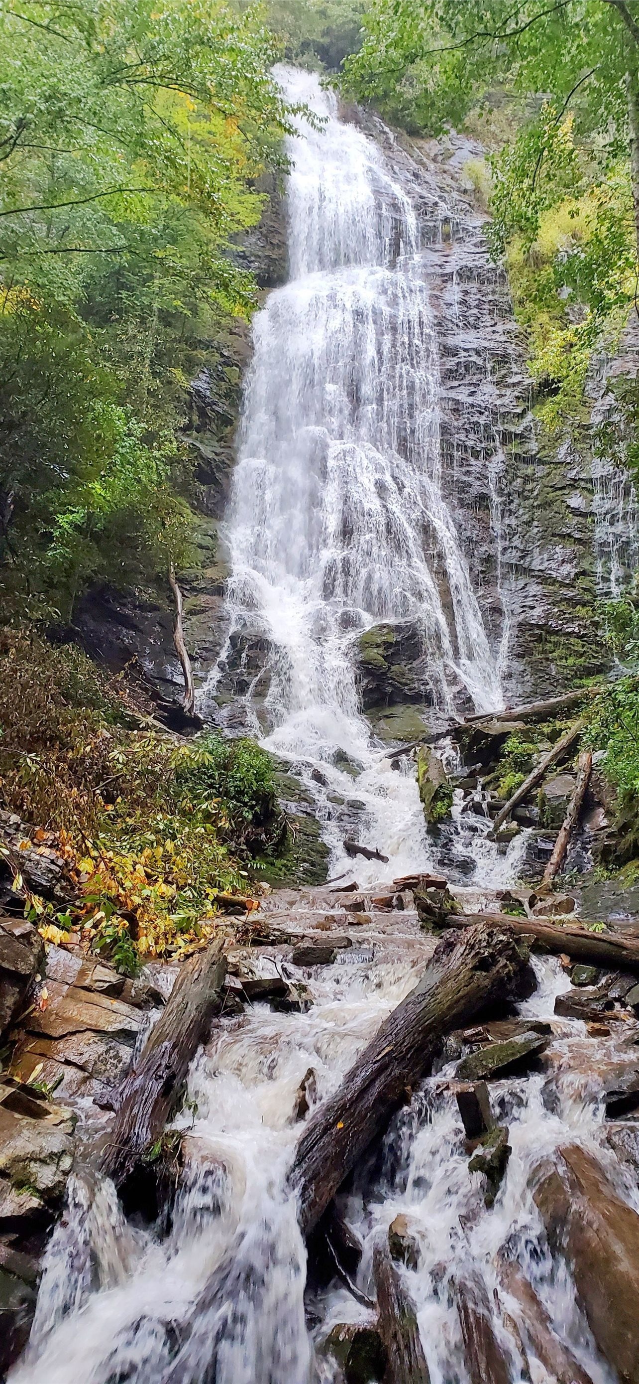 Mingo Falls, Great Smoky Mountains National Park Wallpaper, 1290x2780 HD Phone