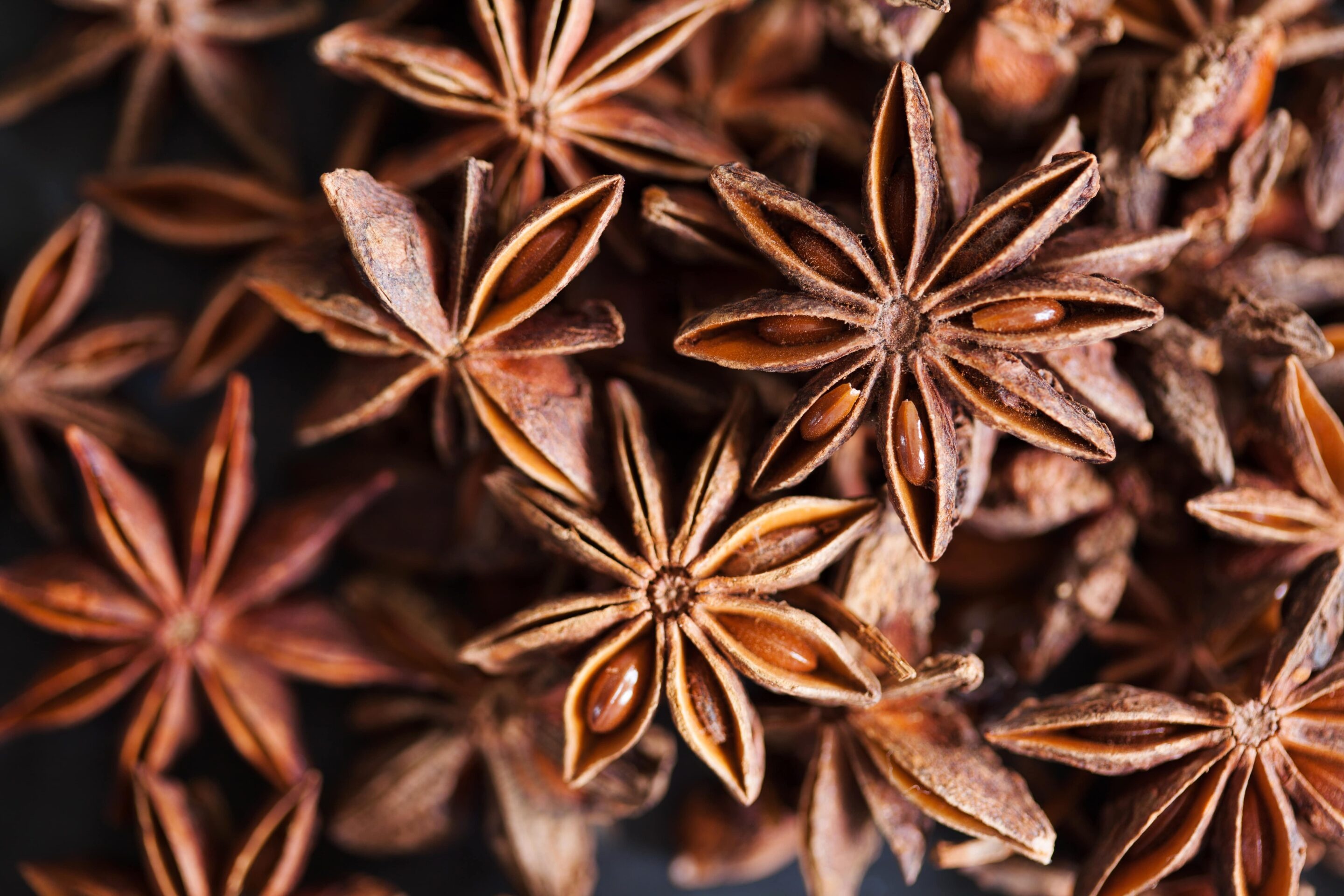 Anise Plant, Essential oil delight, Sensient 2021, Fragrance power, 2880x1920 HD Desktop