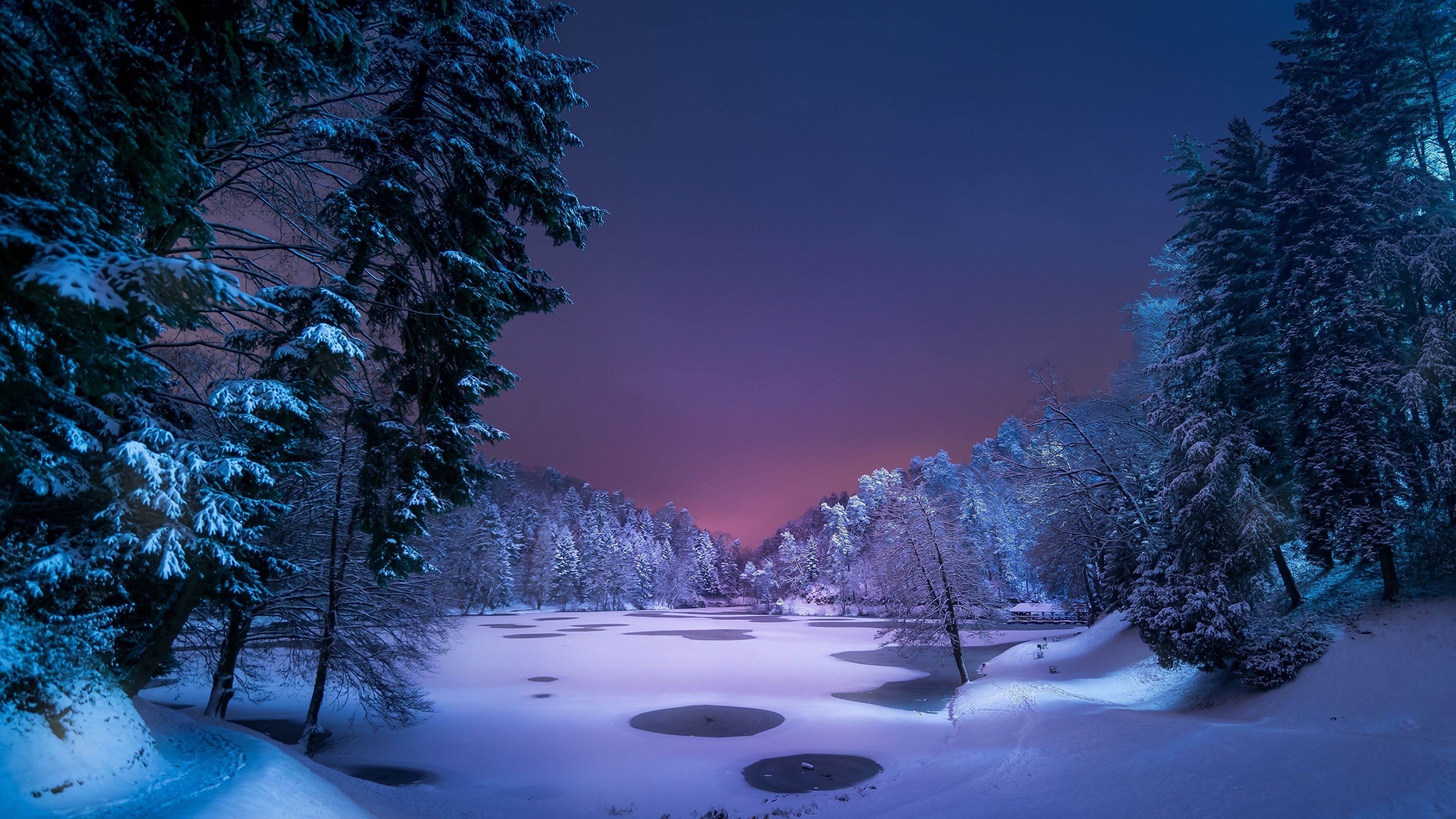Snowy forest at night, Magical scenery, Whispering snowflakes, Winter enchantment, 3840x2160 4K Desktop