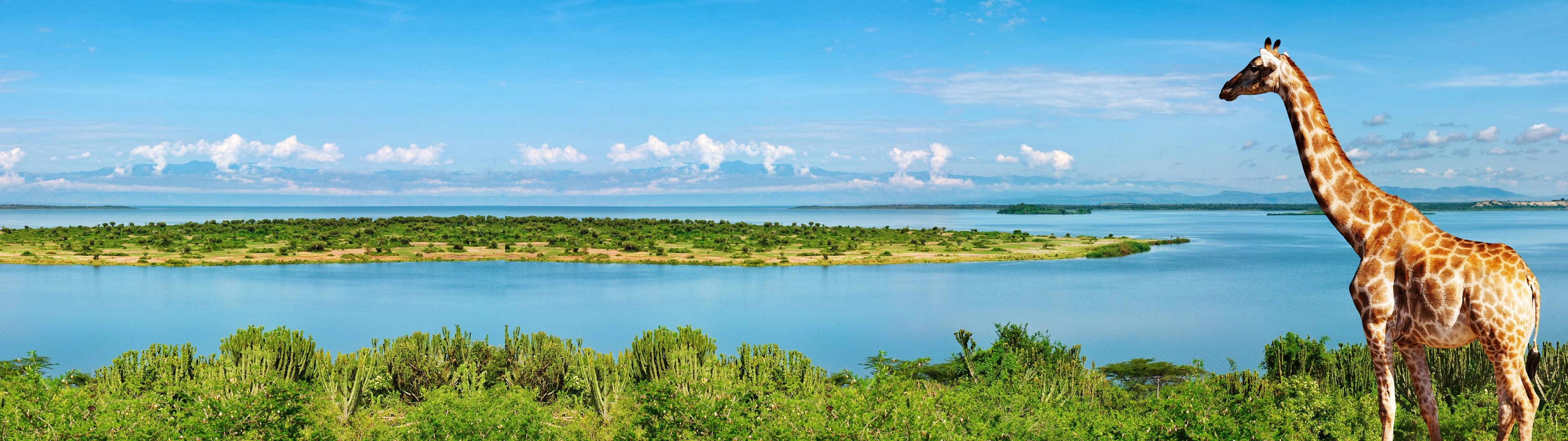 Exploring Africa, Panoramic wallpapers, Dual screen display, Windows 10, 3840x1080 Dual Screen Desktop