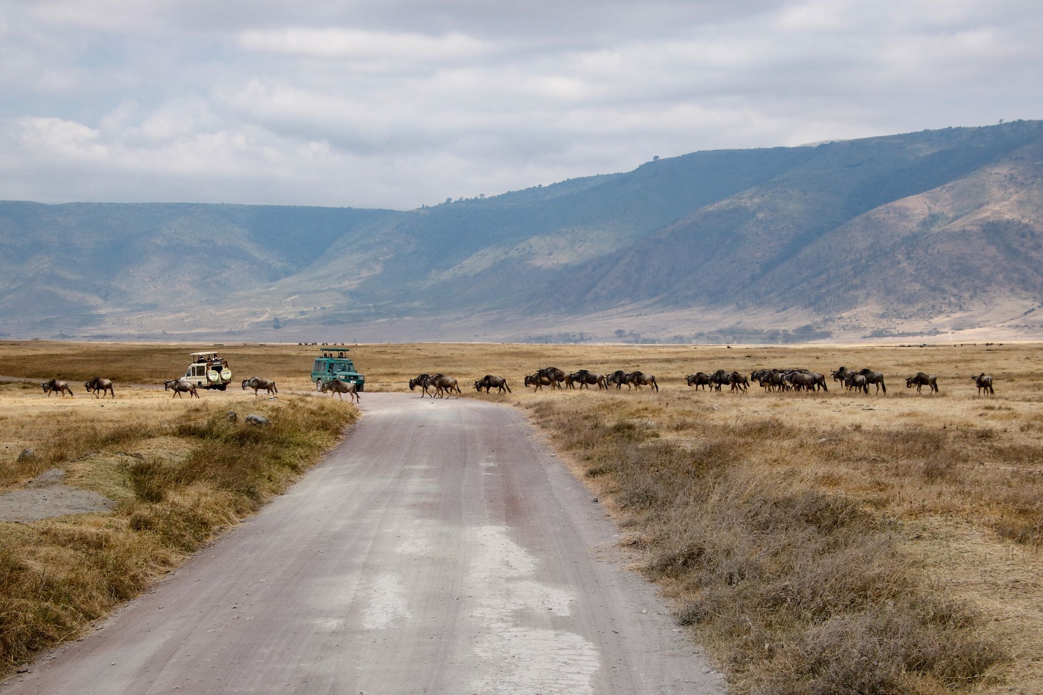 Signature Africa Safaris, Ngorongoro Crater, 2050x1370 HD Desktop