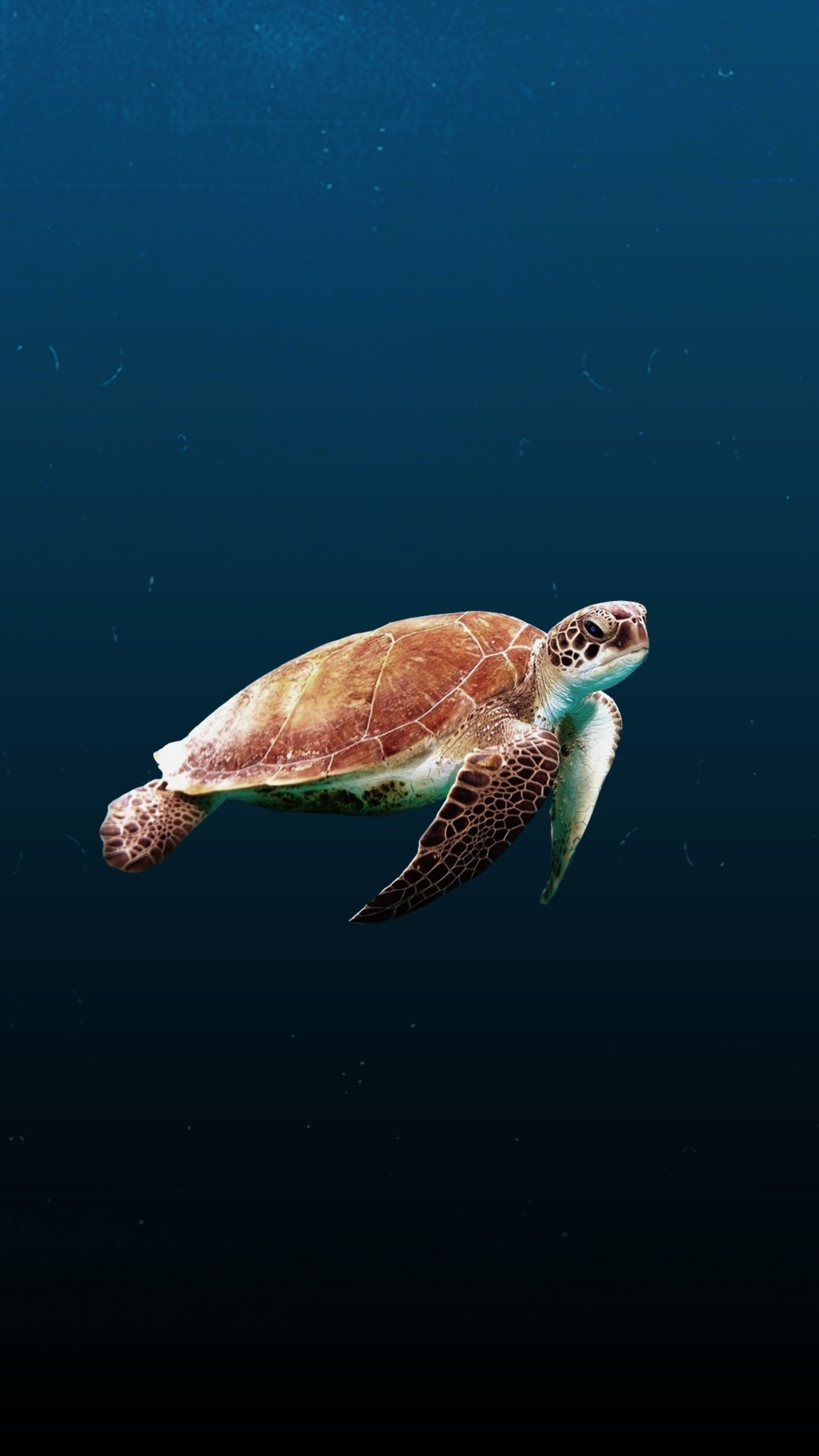 Sony Xperia X, Stunning visuals, Premium HD, Aquatic beauty, 2160x3840 4K Phone