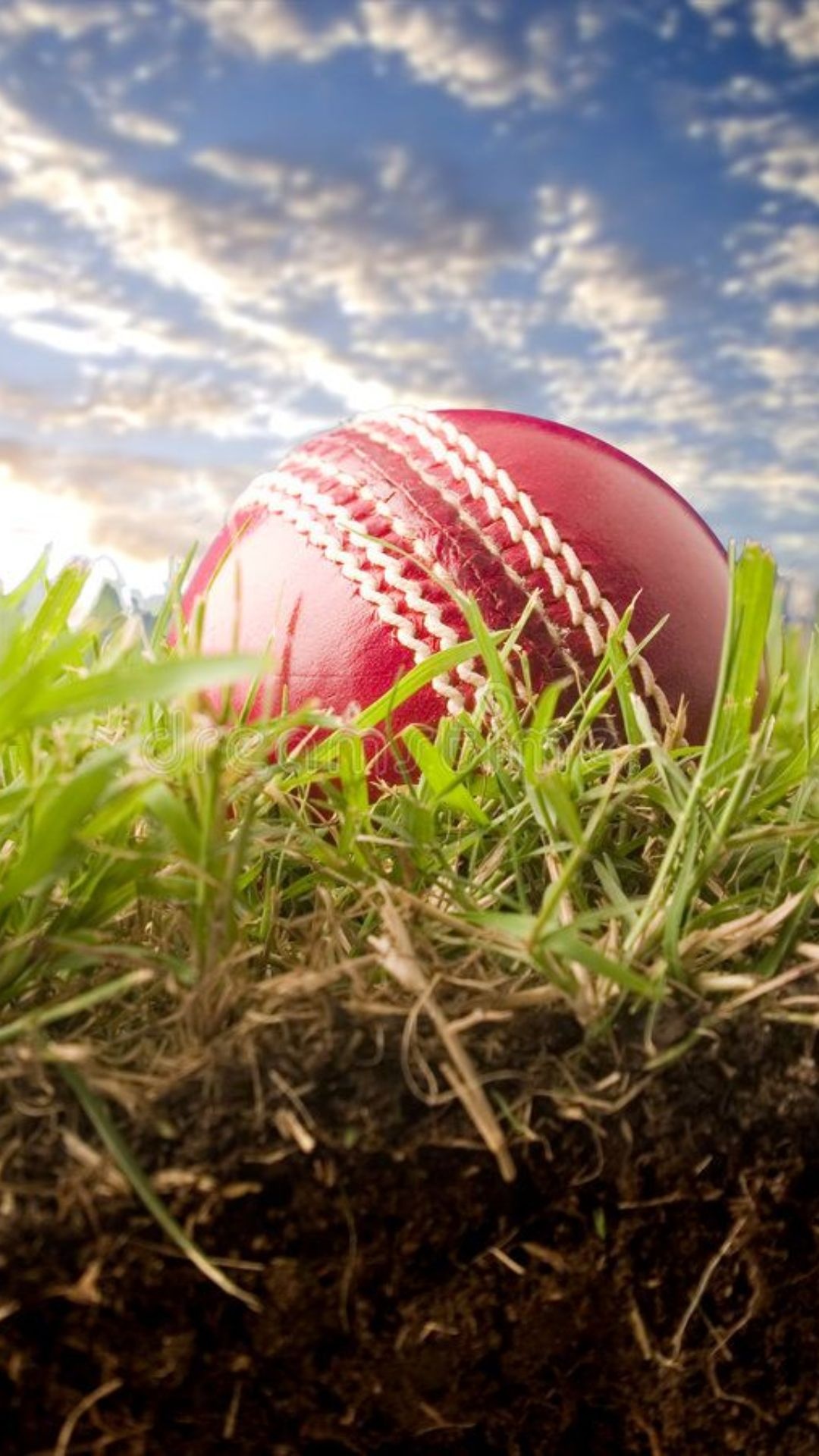 High-quality cricket wallpapers, Cricket backgrounds, HD 4K, Wallpaper, 1080x1920 Full HD Phone