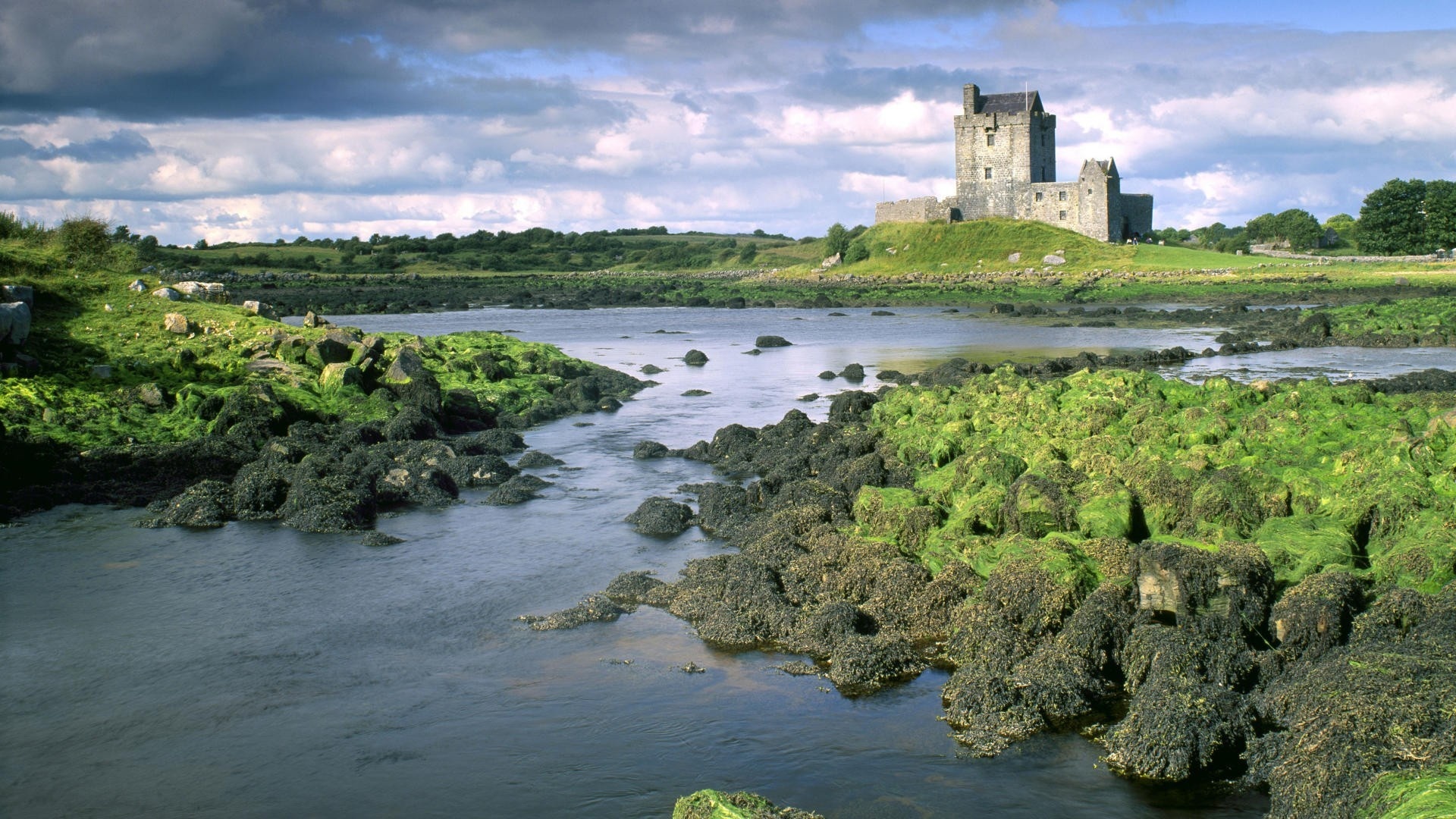 Dunguaire Castle, Irish Countryside Wallpaper, 1920x1080 Full HD Desktop