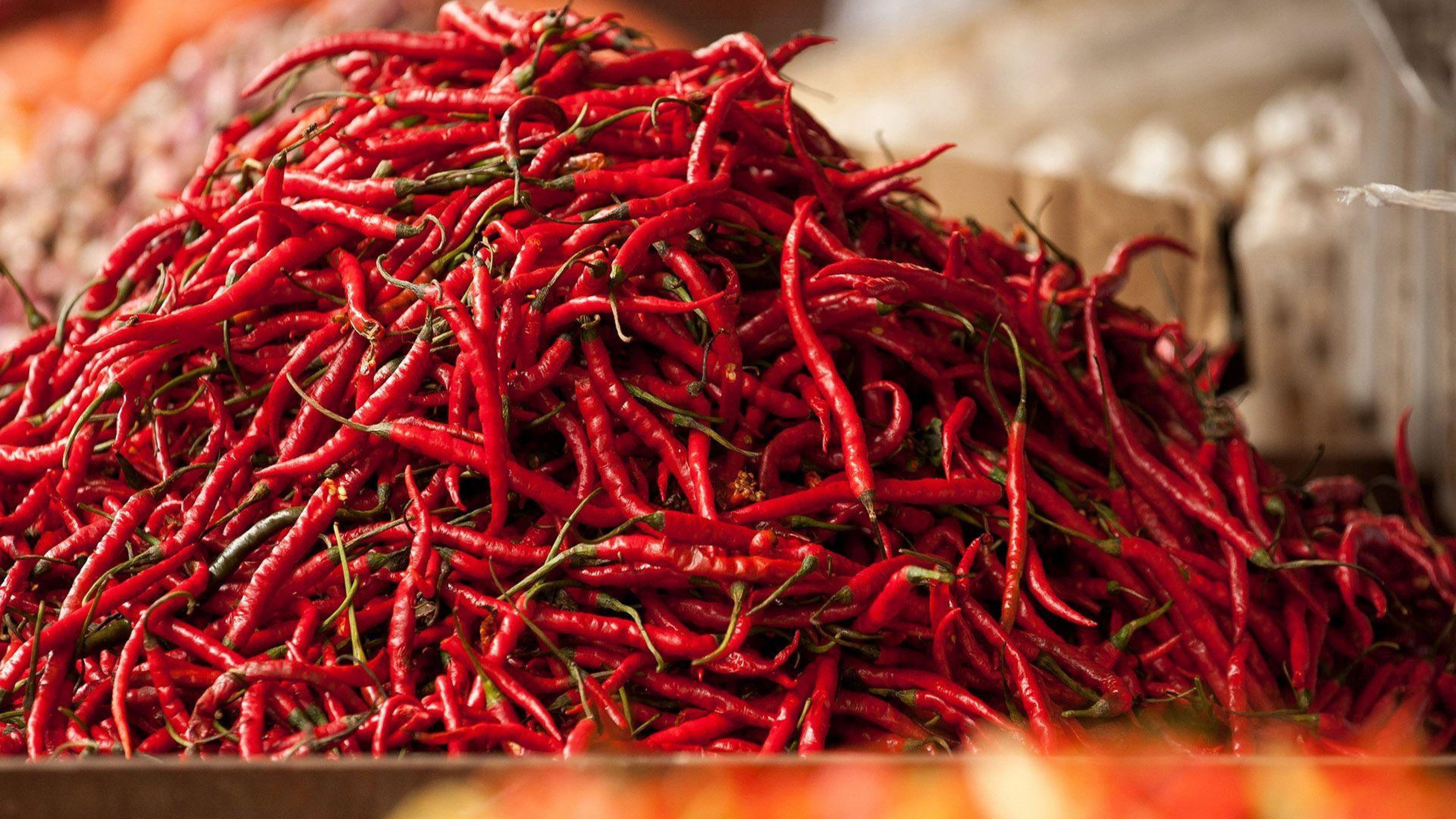 Chile de arbol, Chili Pepper Wallpaper, 3840x2160 4K Desktop
