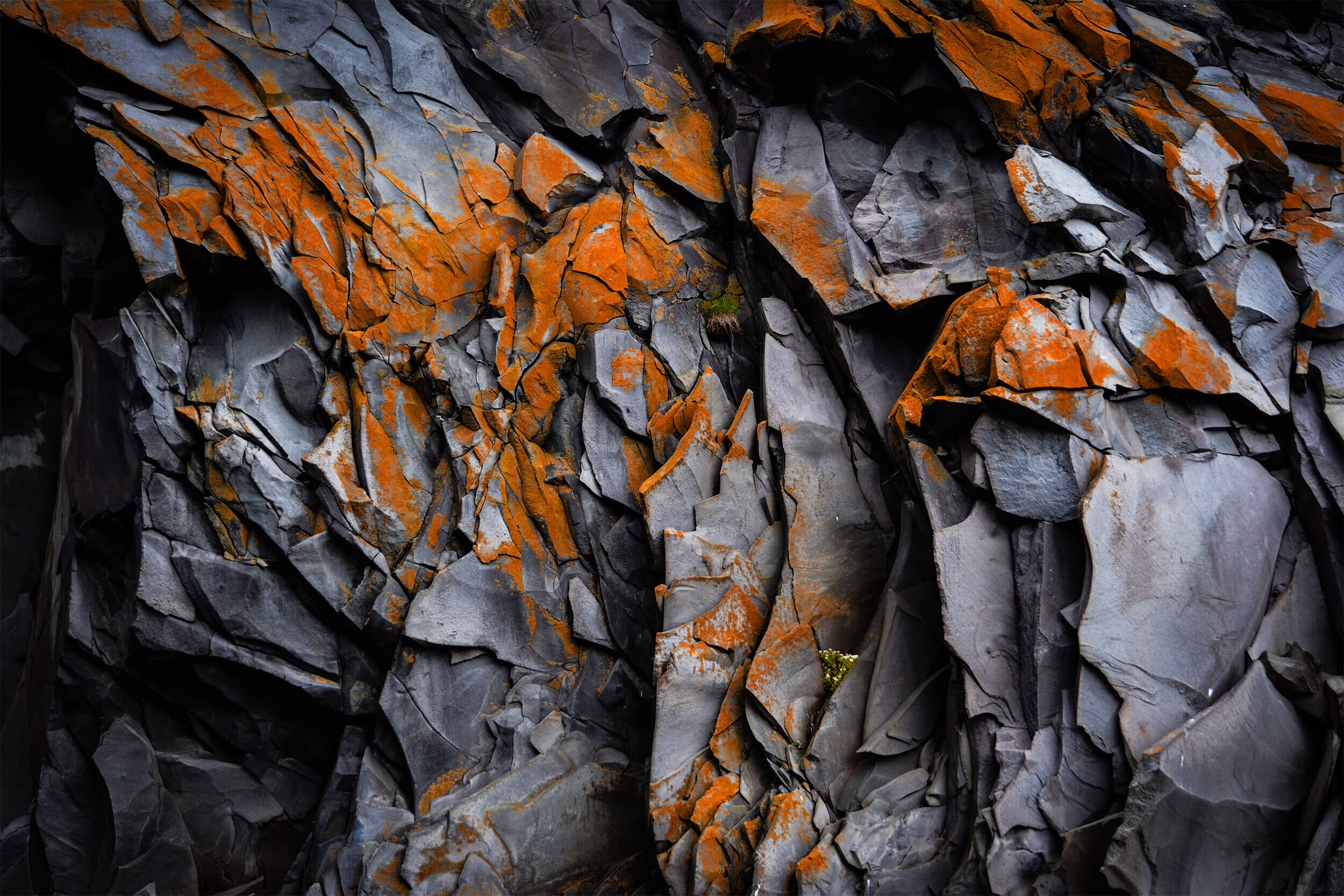 Geological sciences, Scientific research, Earth's history, Institute's contributions, 2500x1670 HD Desktop