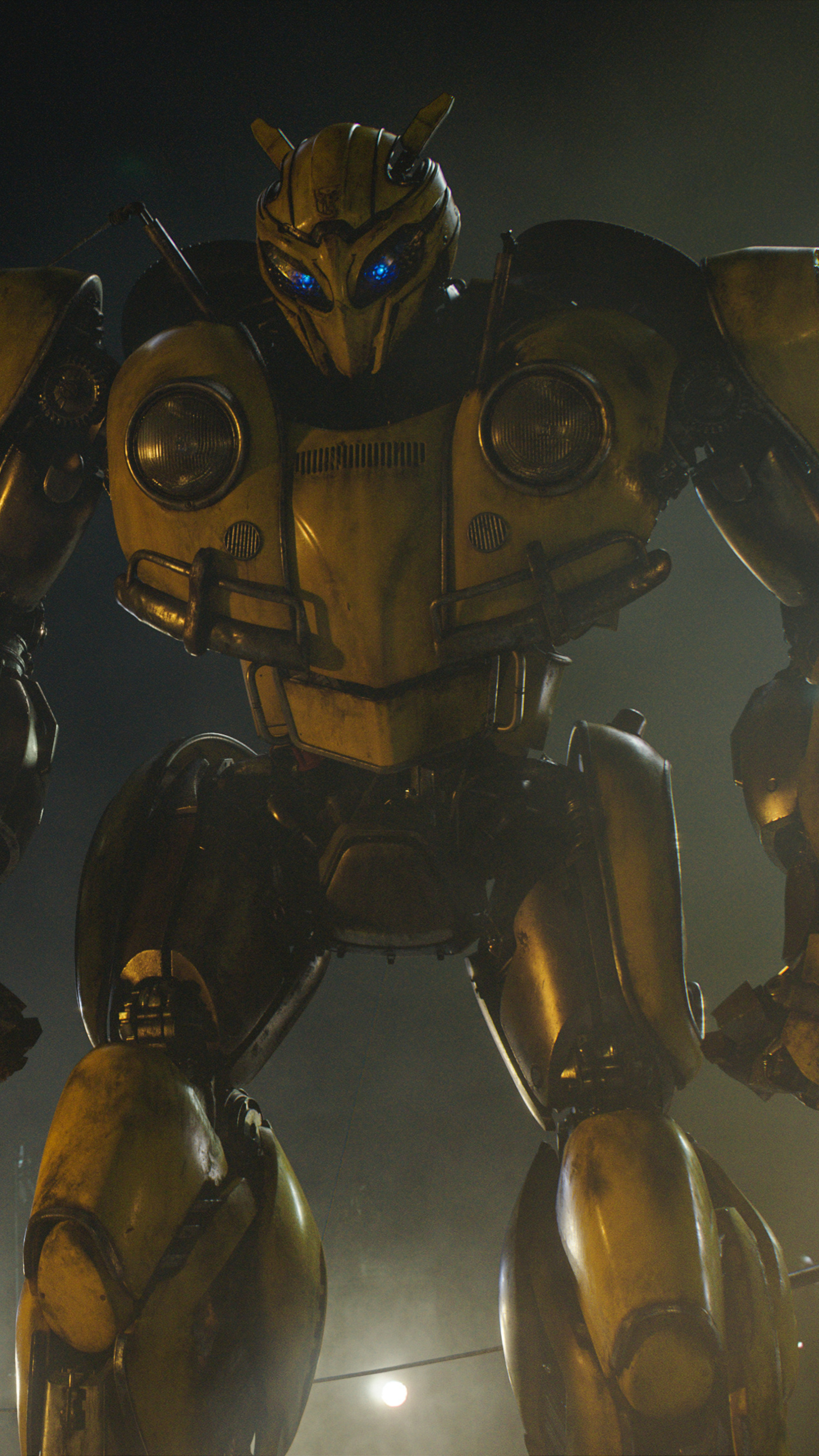 Bumblebee, Sony Xperia X, Xperia XZ, 2160x3840 4K Phone