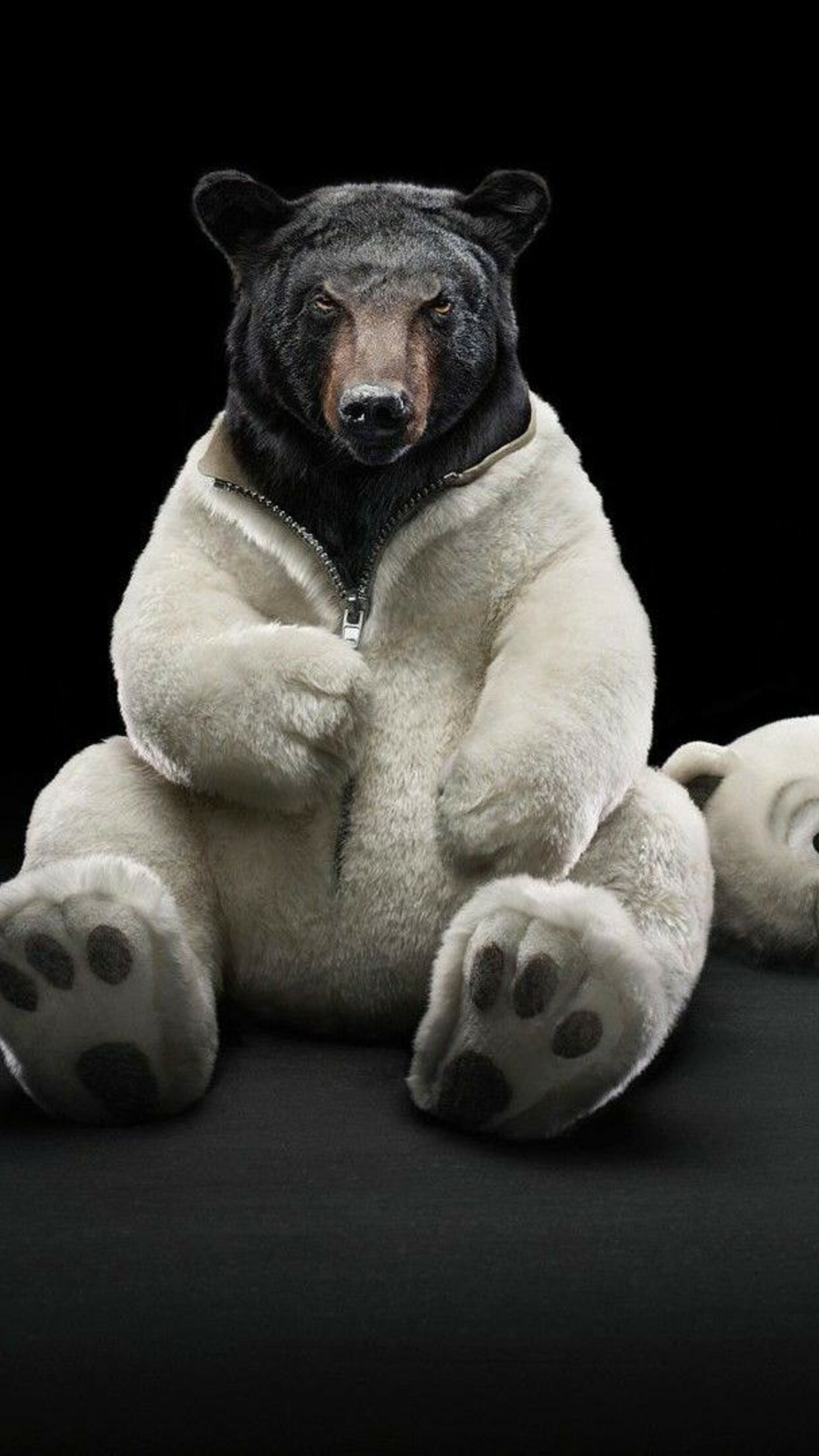 Unusual bear wallpaper, Unique design, iPhone 11 Pro Max, Distinctive style, 1250x2210 HD Phone