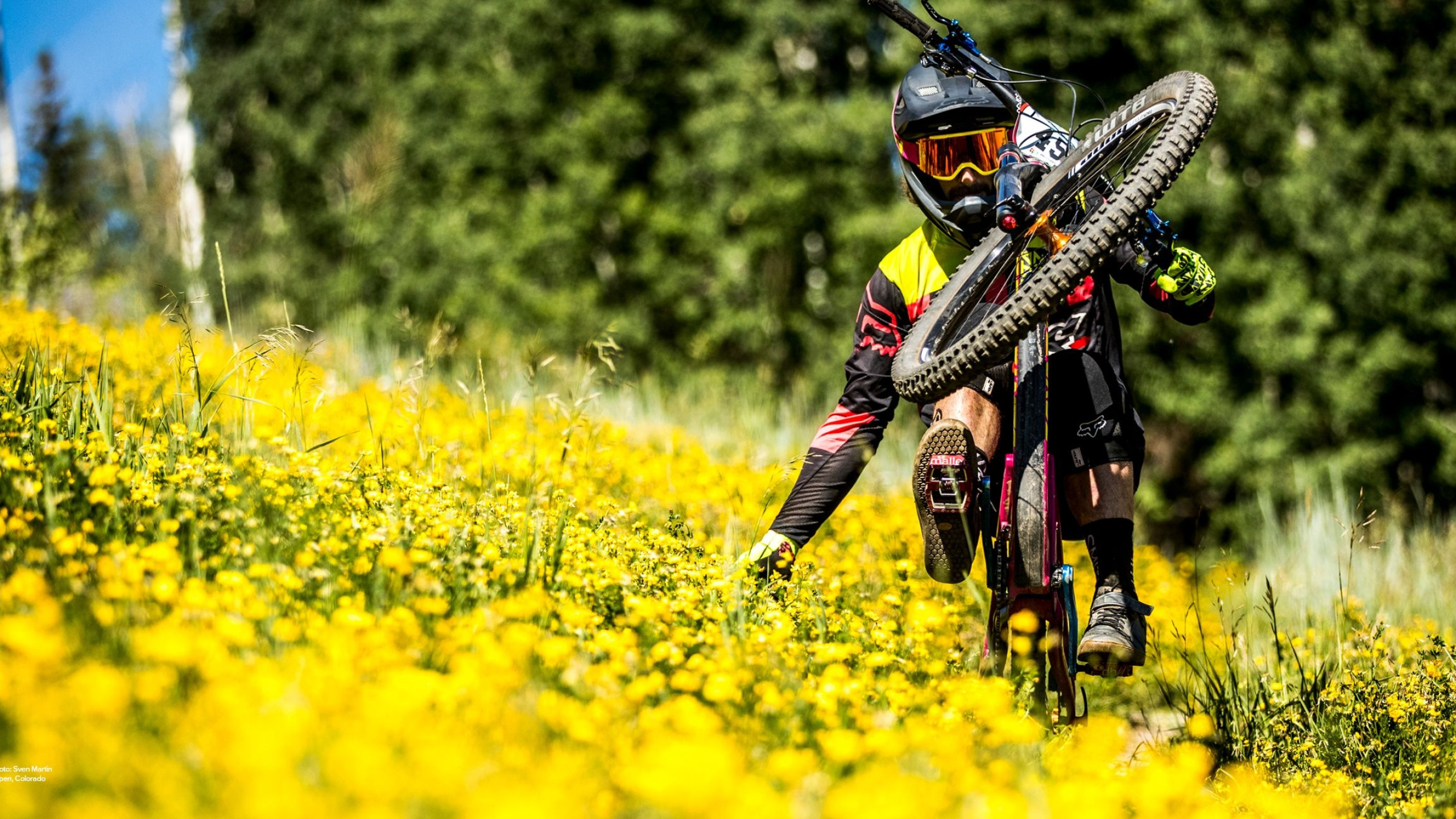 Santa Cruz MTB, Cycling Mountain Bike Wallpaper, 2560x1440 HD Desktop