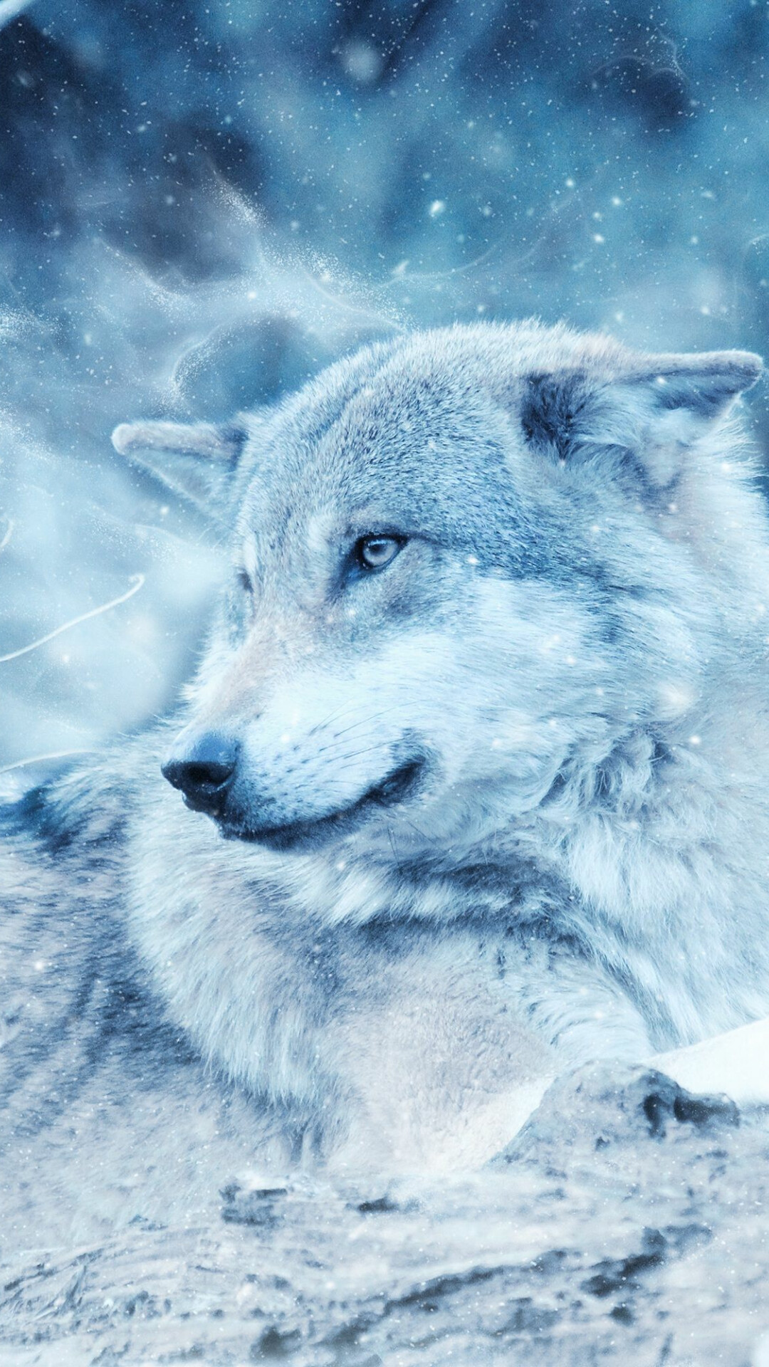 Winter wolf, Snowy landscape, Frosty silence, Frozen beauty, 1080x1920 Full HD Phone