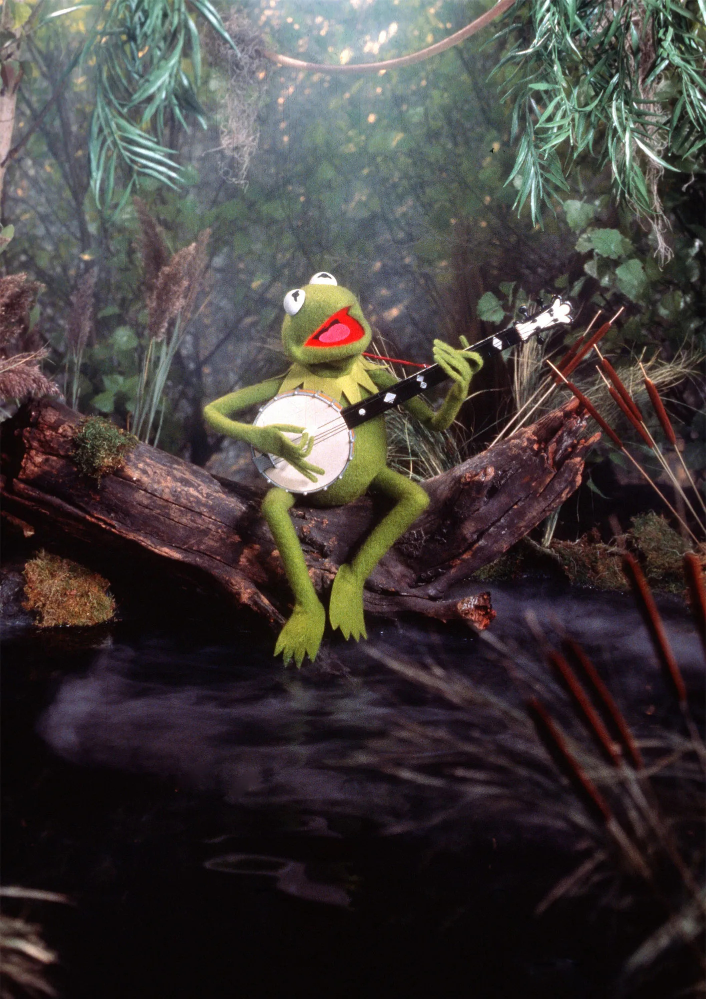 Rainbow Connection, Kermit the Frog Wallpaper, 1420x2000 HD Phone