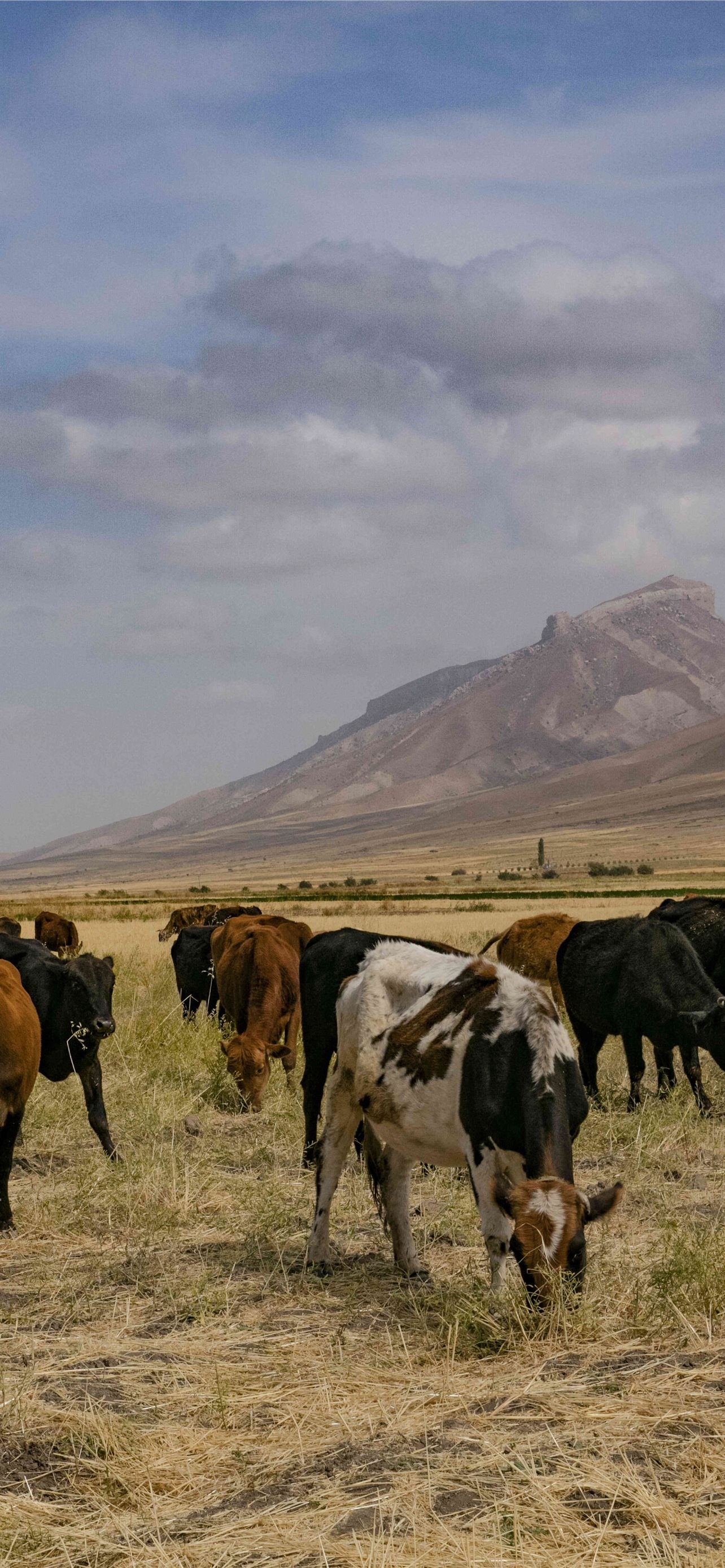 Tajikistan, Beautiful landscapes, Cultural heritage, Rich history, 1290x2780 HD Phone