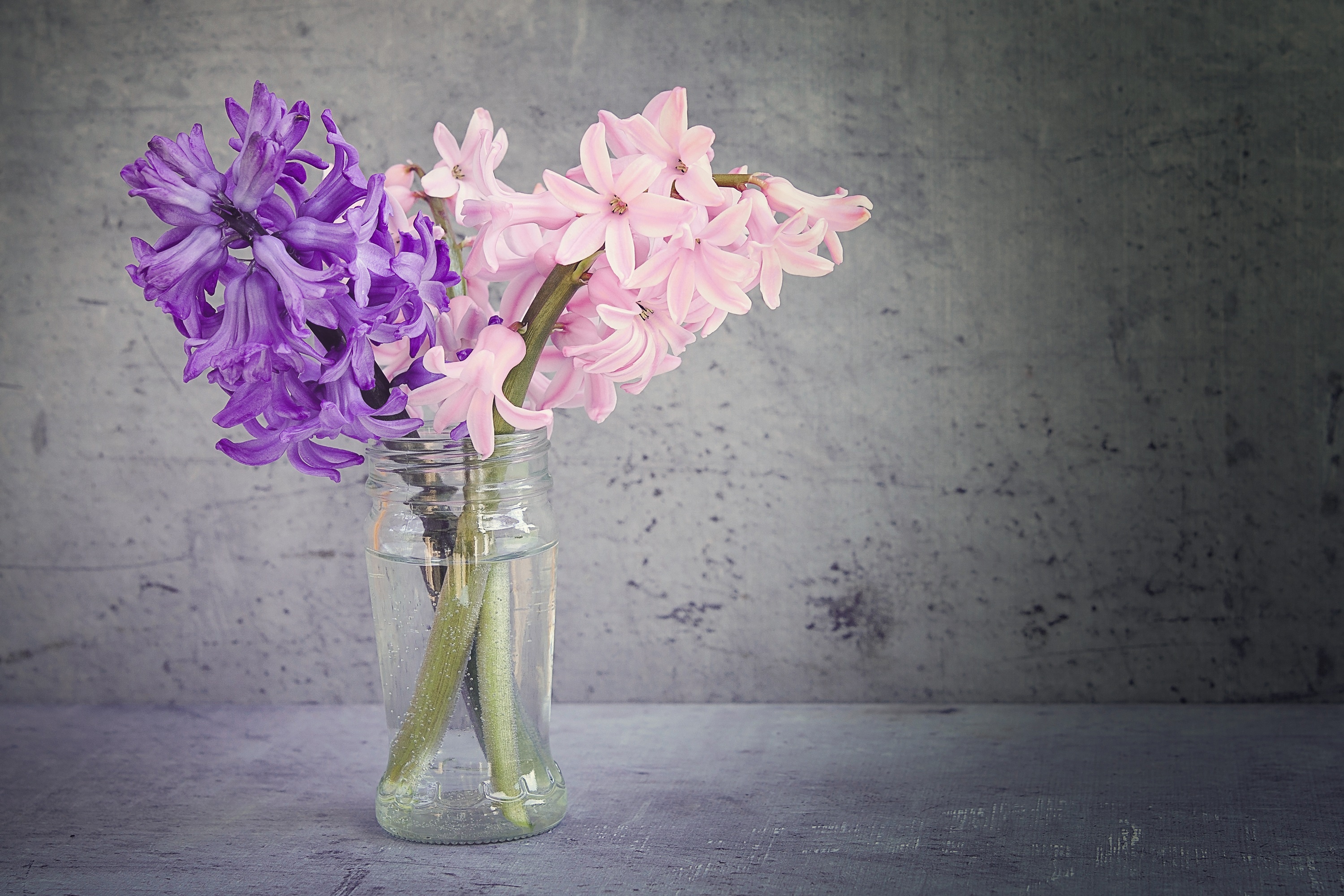 Bouquet, Hyacinth Wallpaper, 3000x2000 HD Desktop