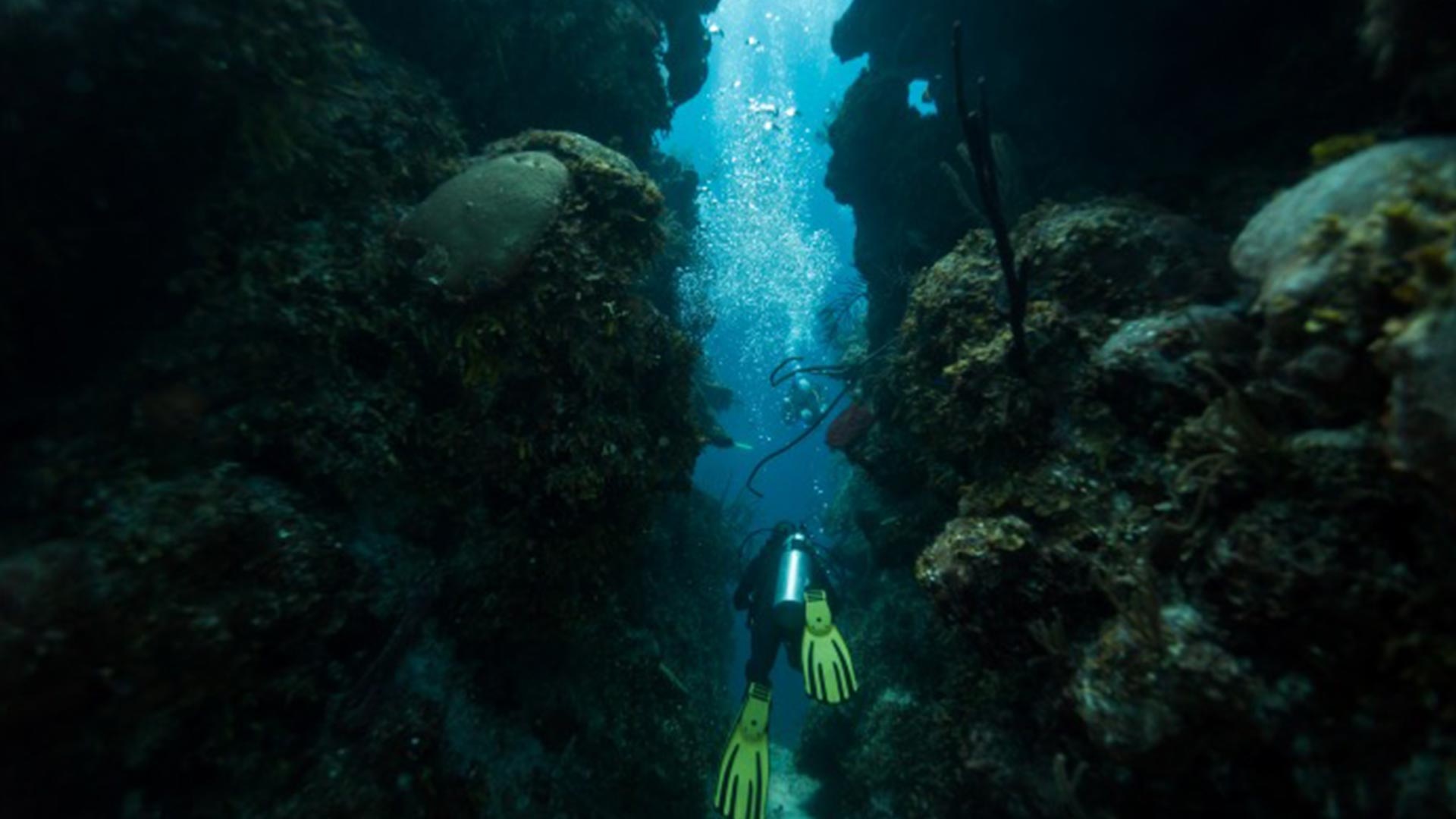 Belize's Blue Hole, GetTransfers, Unearth hidden gems, Natural wonder, 1920x1080 Full HD Desktop