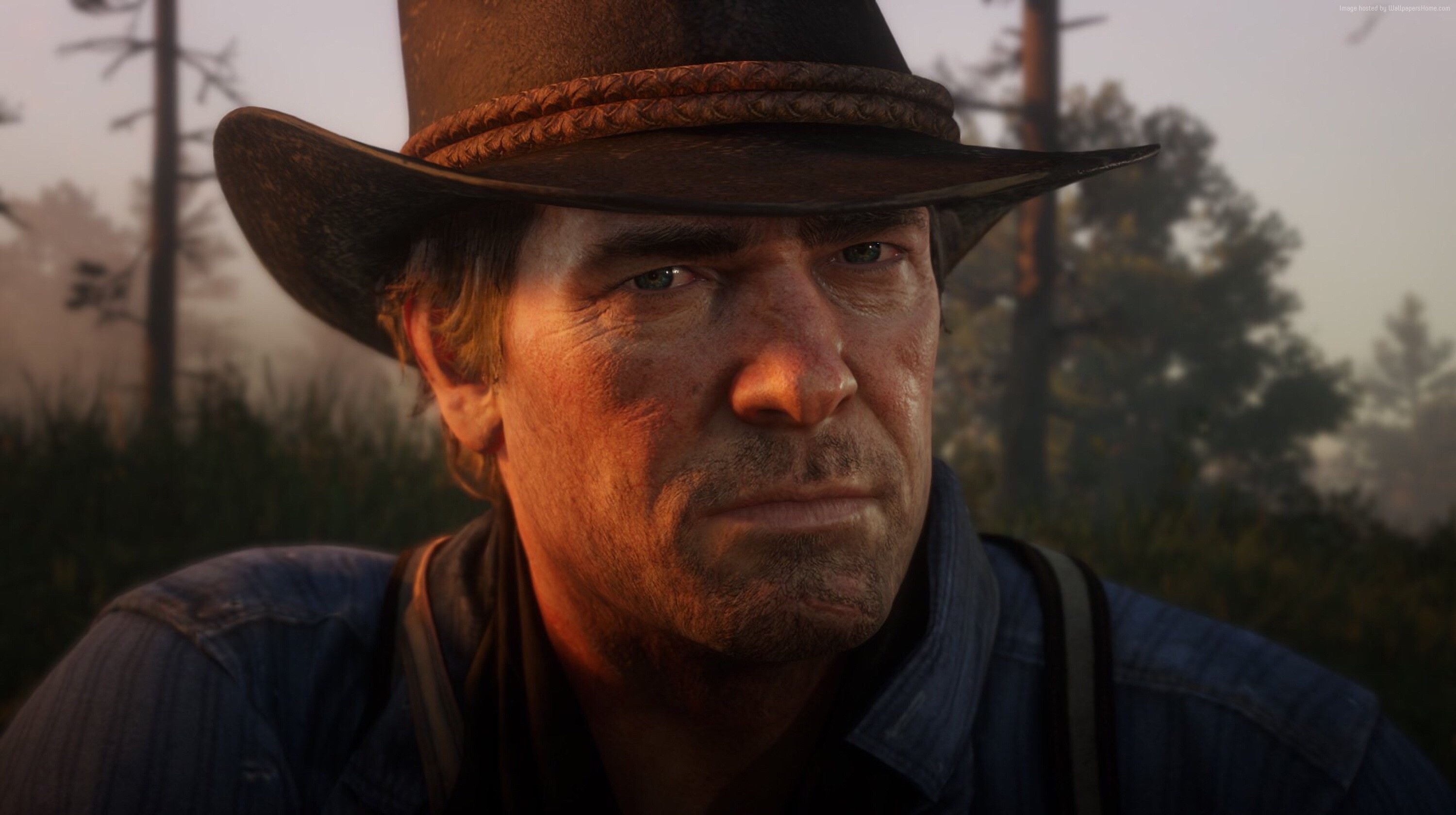 Arthur Morgan, Red Dead Redemption 2, braided leather cowboy hat, HD Desktop wallpaper