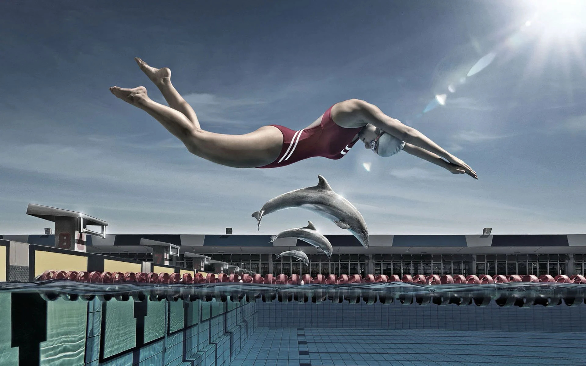 Jump, Swimming Wallpaper, 1920x1200 HD Desktop