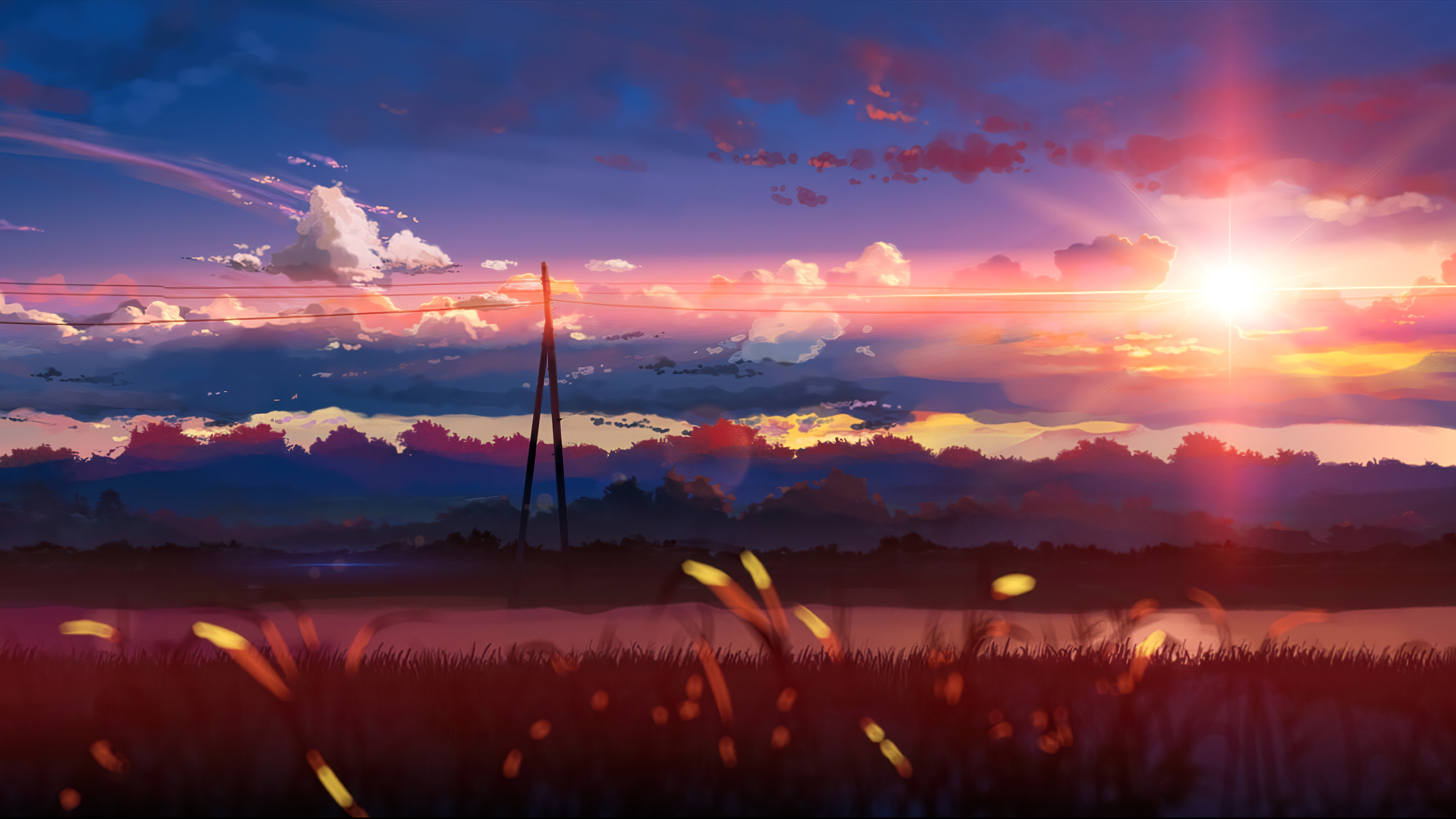 5 Centimeters per Second sunset, Utility pole power lines, Glowing grass foreground, 4K Desktop wallpaper