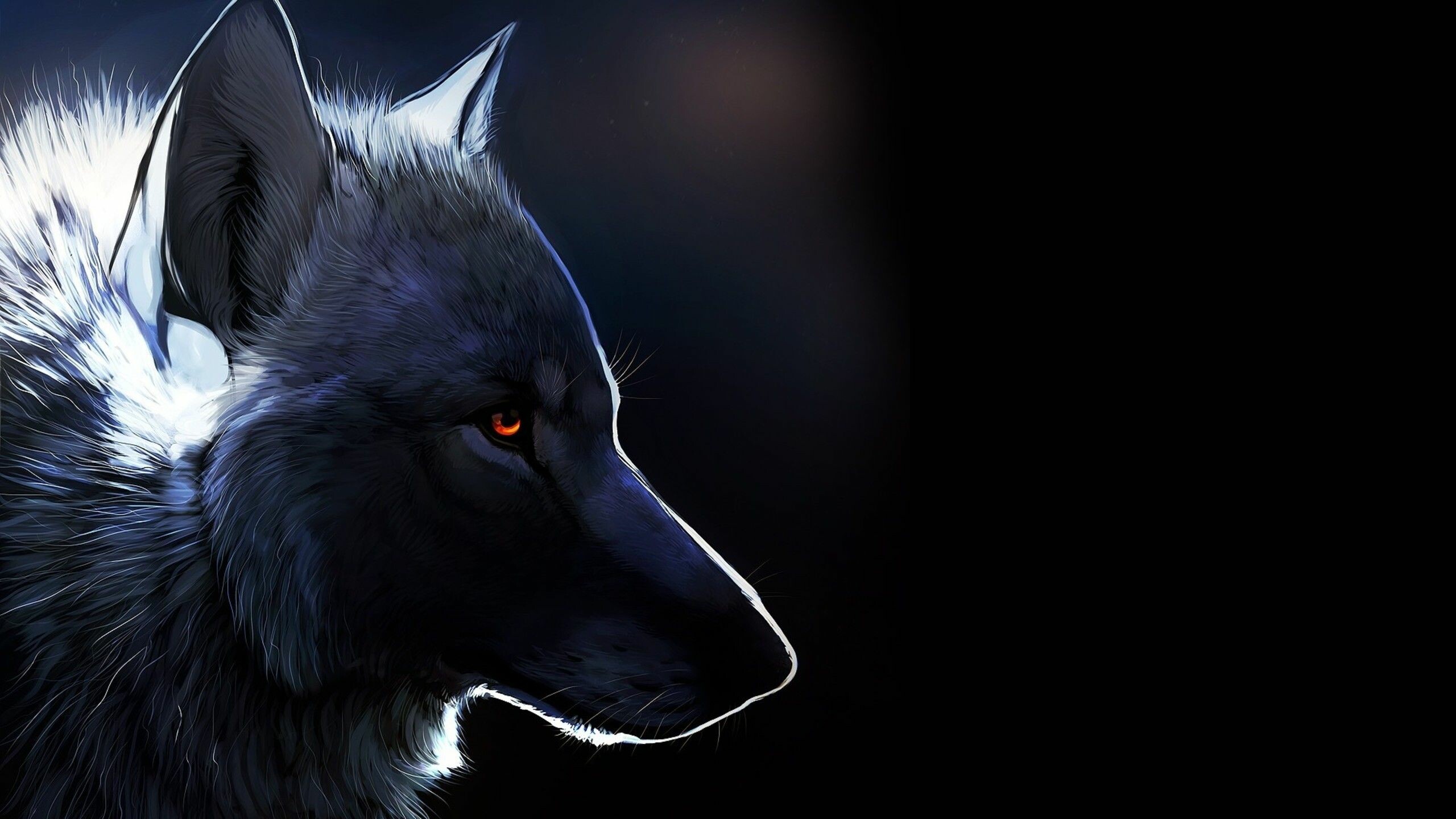 Dark wolf drawing, Creative wilderness, Enigmatic masterpiece, Exquisite artwork, 2560x1440 HD Desktop