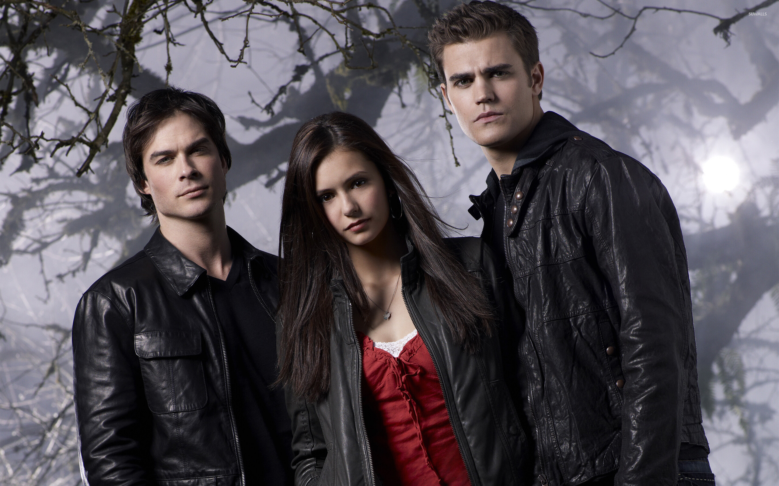 Vampire Diaries series, TV show, Season 8 wallpaper, Iconic moments, 2560x1600 HD Desktop