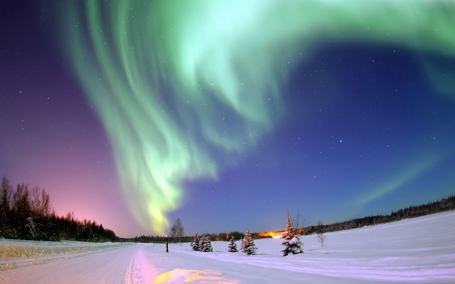 Alaska aurora borealis, Snowy subarctic forest road, Green auroral curtain, HD Desktop wallpaper
