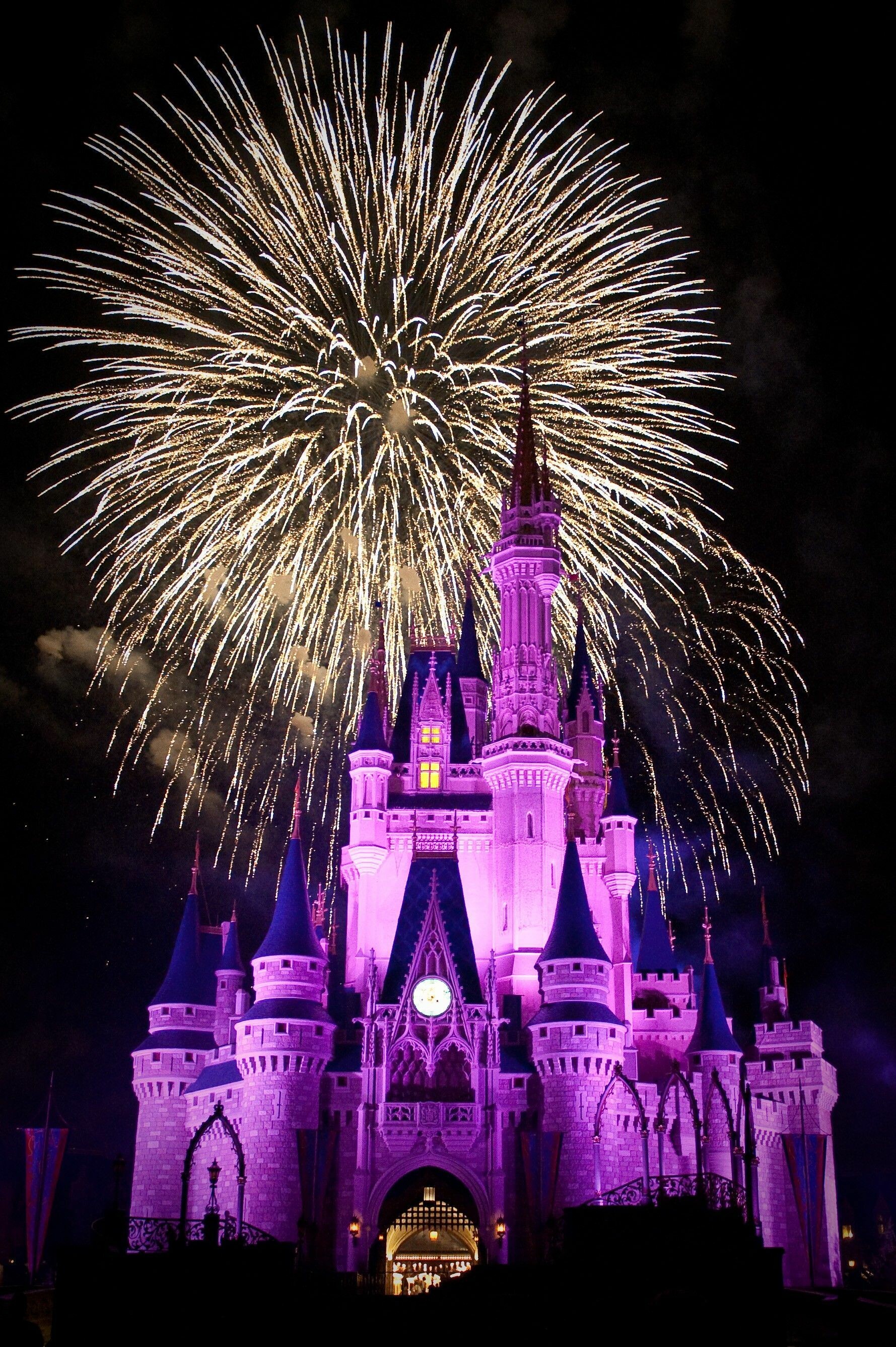Disney fireworks, Colourful spectacle, Magical night, Disney magic, 1780x2680 HD Phone