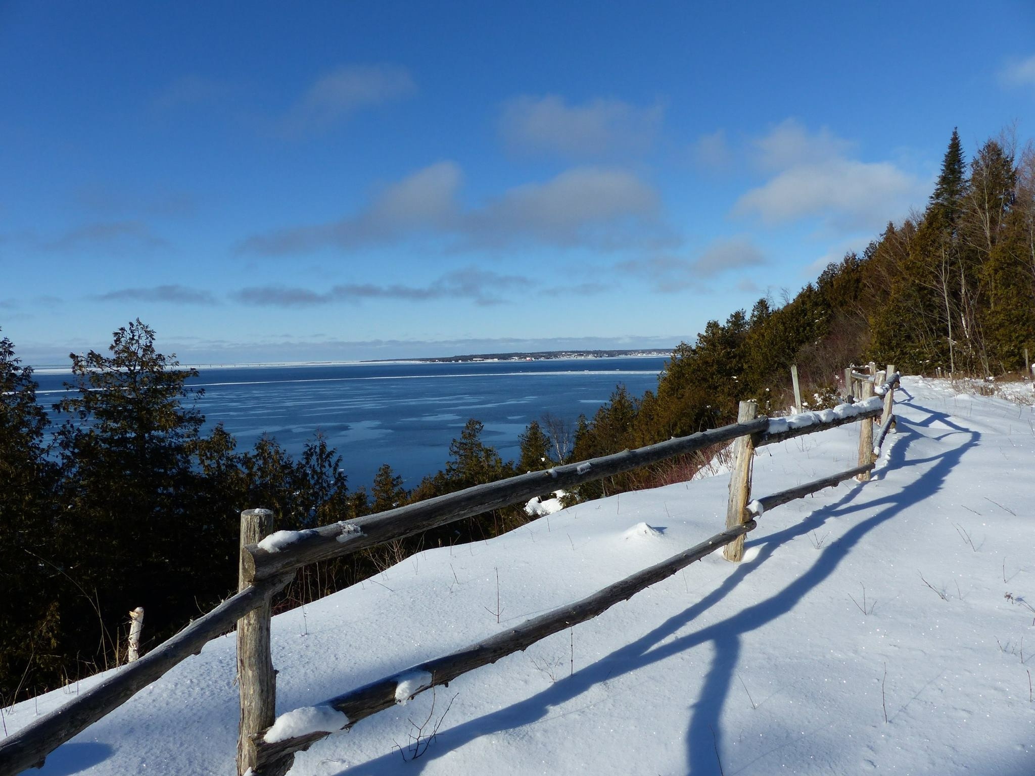 Mackinac Island deer, Brees Mackinac Island, Travel blog, 2050x1540 HD Desktop