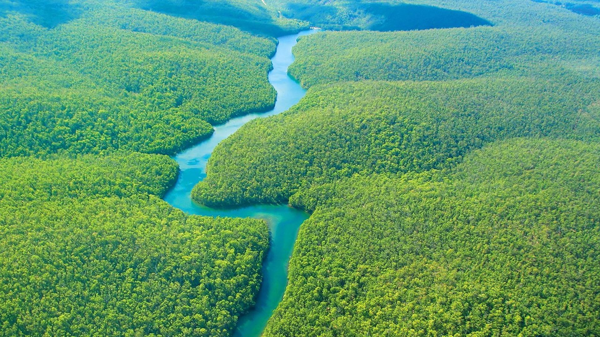 Brazil, Amazon Rain Forest Wallpaper, 1920x1080 Full HD Desktop