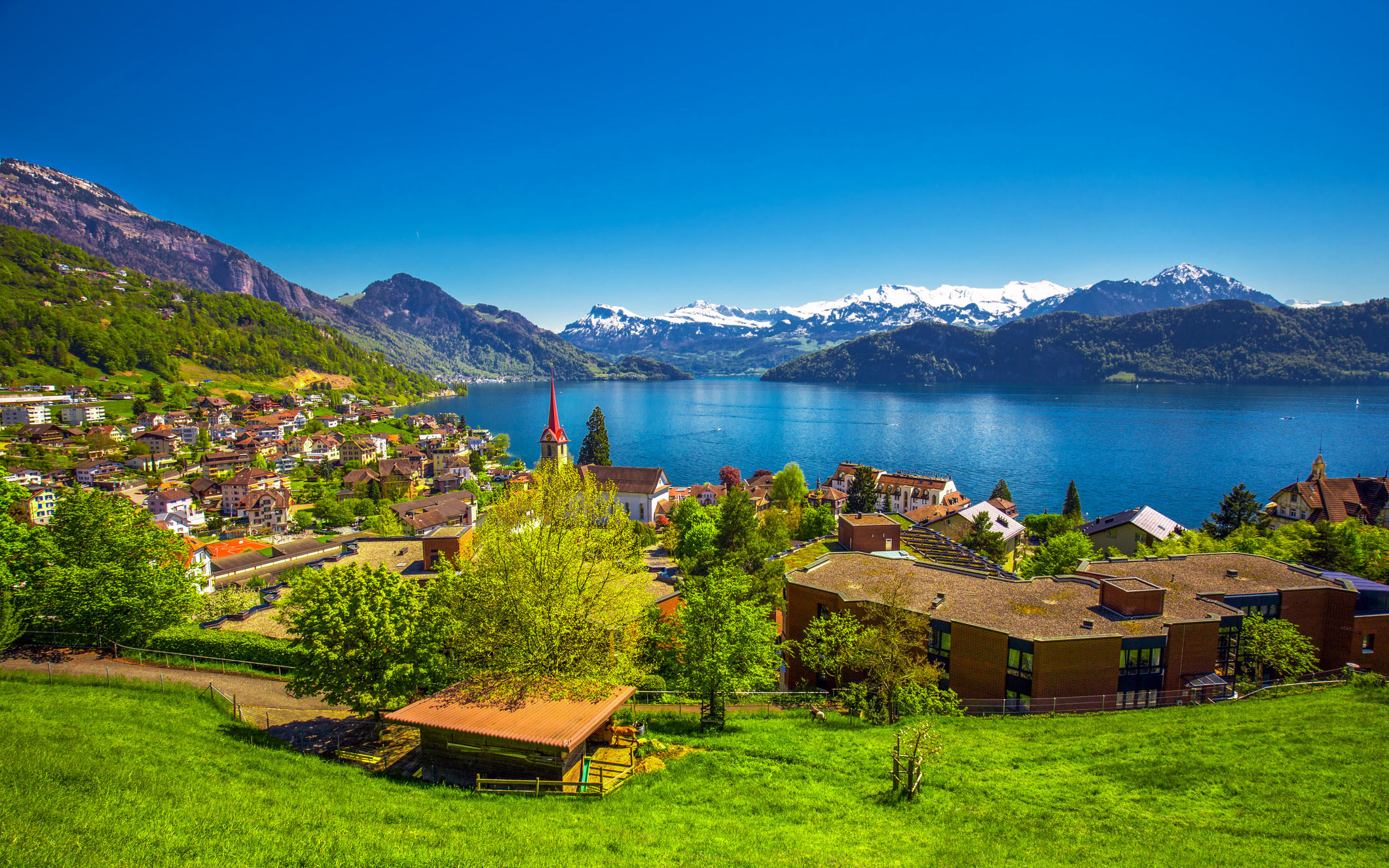 Lake Lucerne, Snowcapped Swiss Alps, Green Alpine hillside, HD Desktop wallpaper