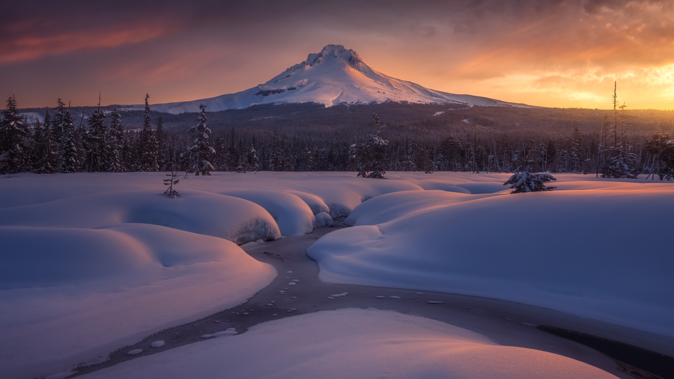 Mount Hood, Oregon, Travels, Sarah Walker's wallpapers, 2560x1440 HD Desktop