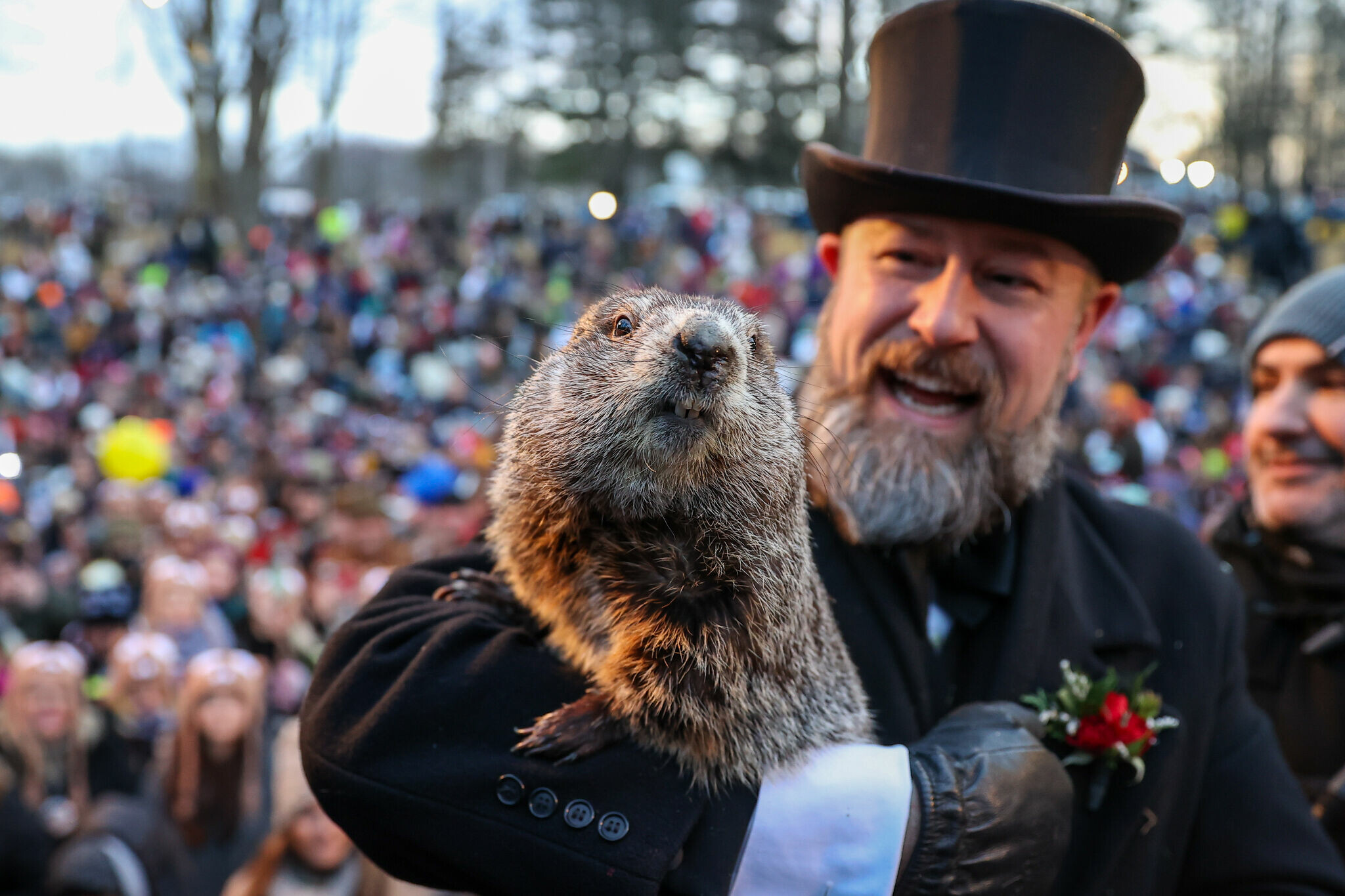 Groundhog Day FAQ, Punxsutawney Phil, Shadow prediction, Groundhog's significance, 2050x1370 HD Desktop