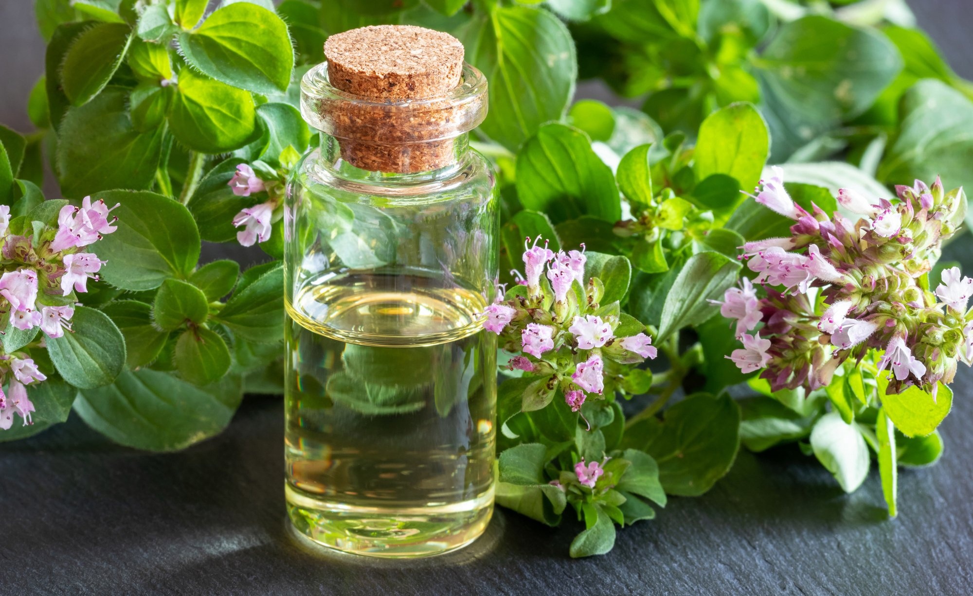 Homemade oregano oil, DIY project, Garden guide, My beautiful garden, 2000x1230 HD Desktop