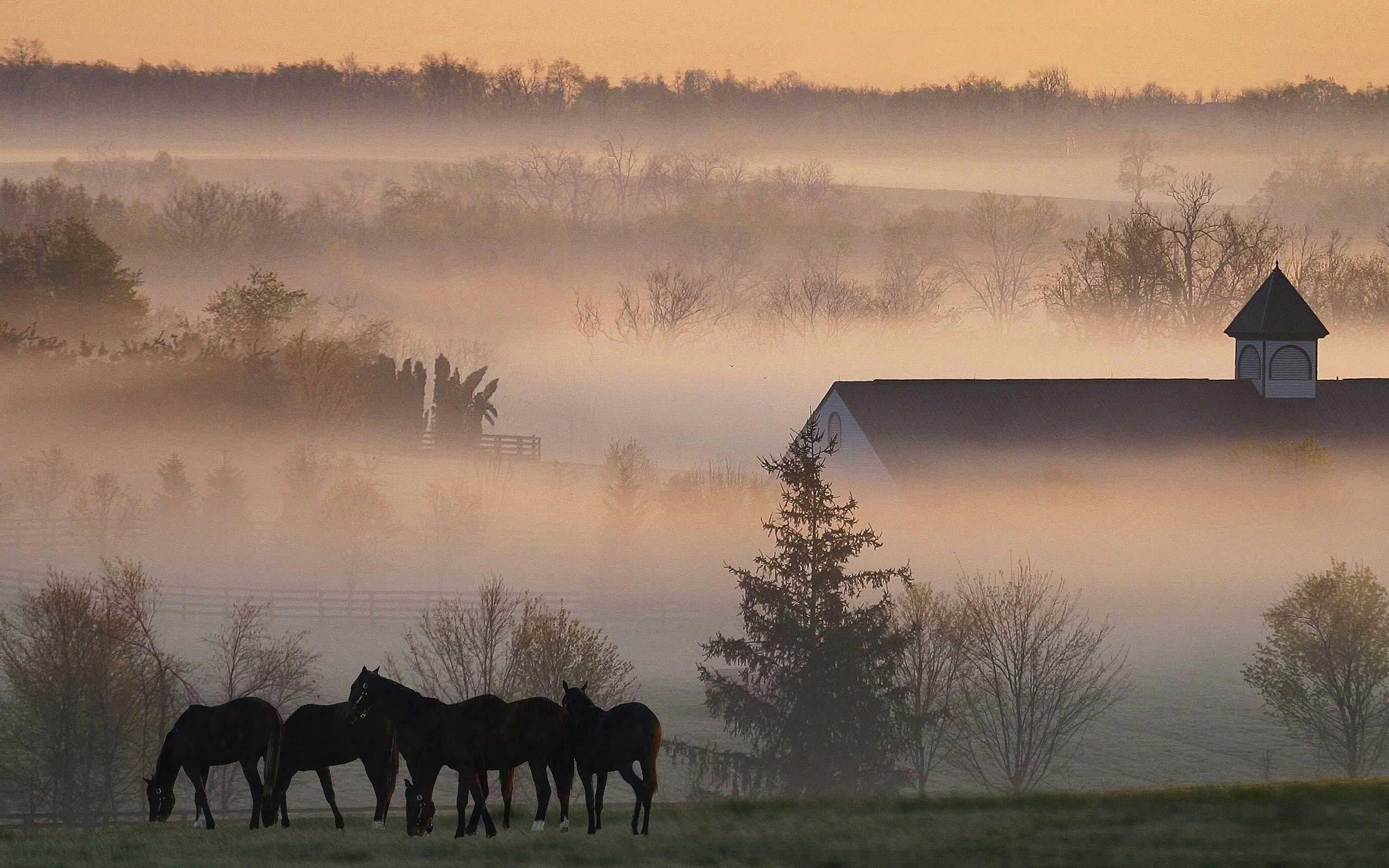 Kentucky travels, Kentucky wallpapers, Bluegrass state, Southern charm, 2560x1600 HD Desktop