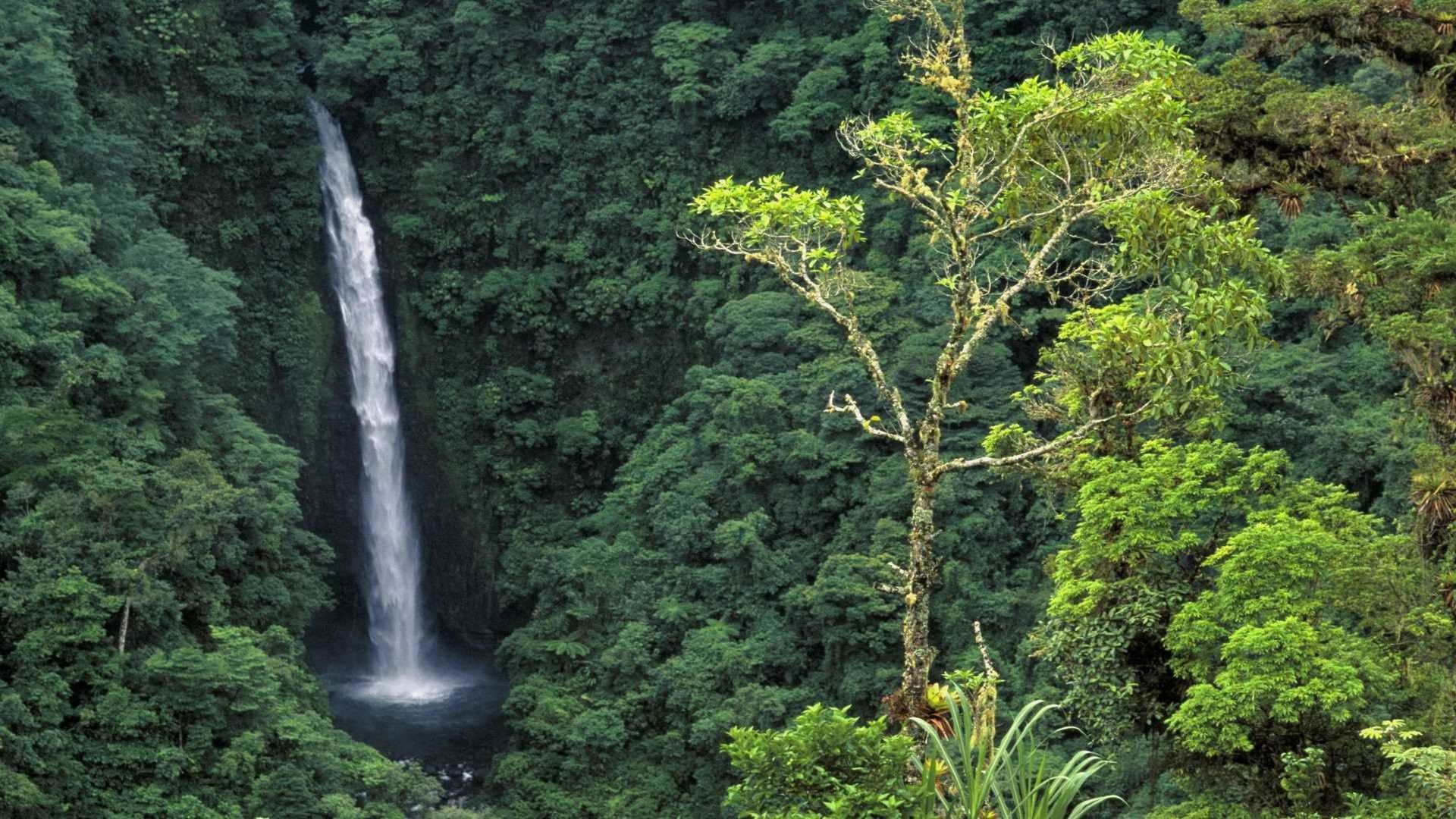 Angel Falls, Costa Rica Wallpaper, 1920x1080 Full HD Desktop