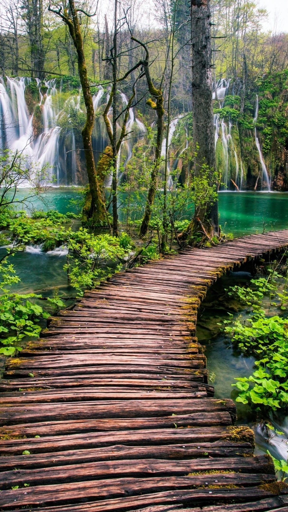 Plitvice Lakes, National park, Beautiful waterfalls, Backiee wallpaper, 1220x2160 HD Phone