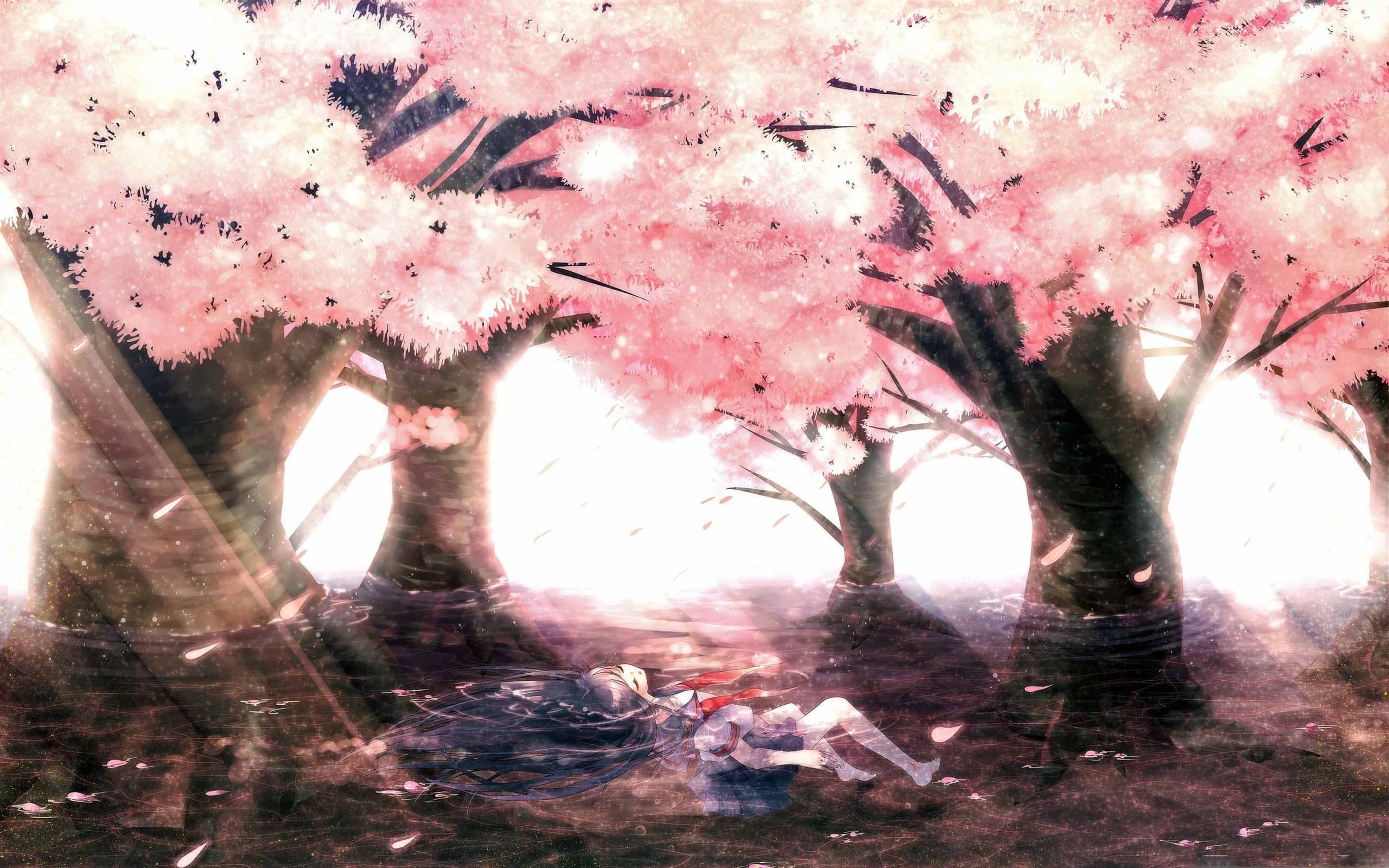 Anime girl in water, Blooming cherry blossom canopy, Sunbeams through sakura trees, HD Desktop wallpaper
