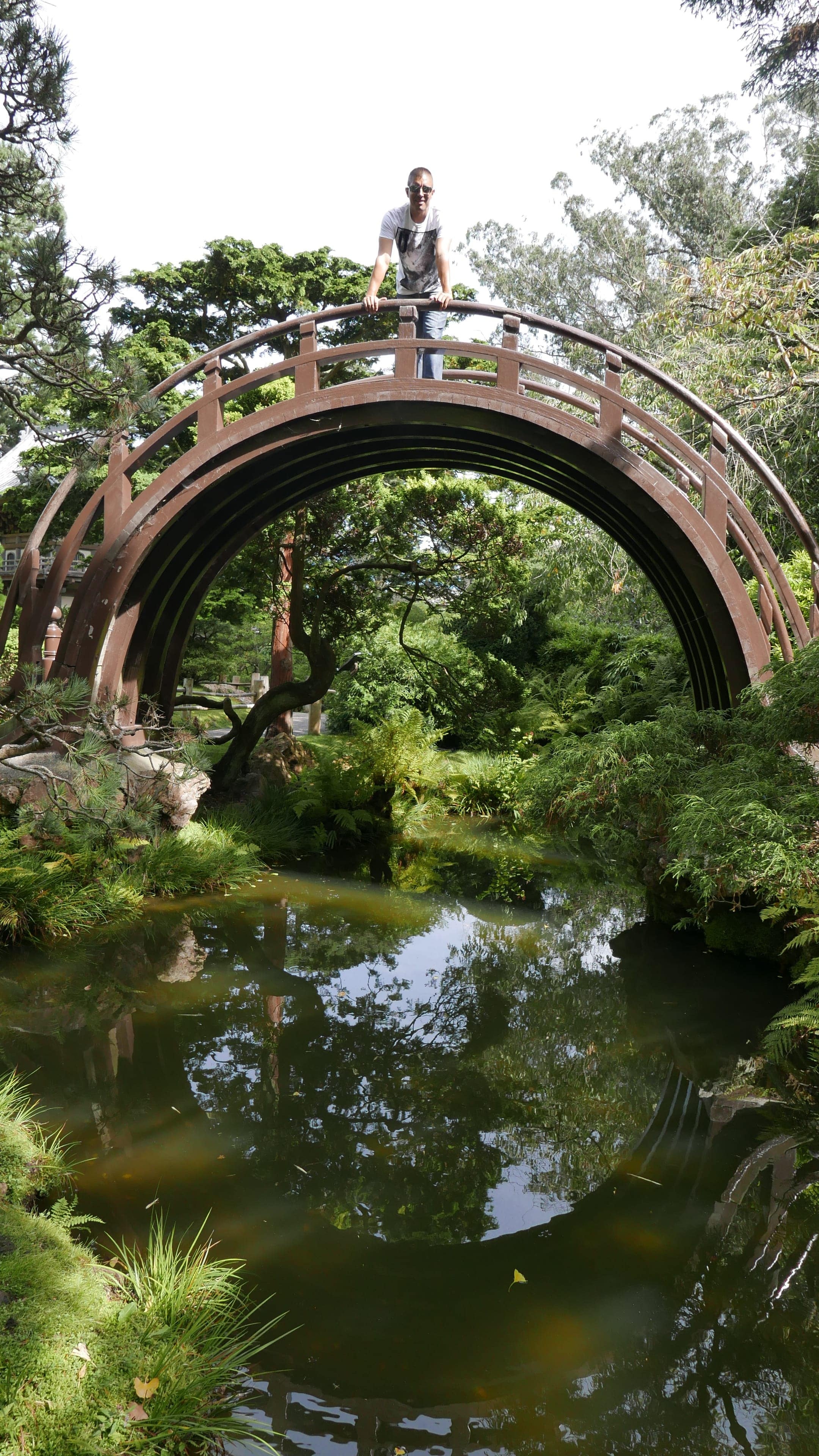 Golden Gate Park, Los barrios mas famosos, San Francisco, Anabel se va, 2160x3840 4K Phone