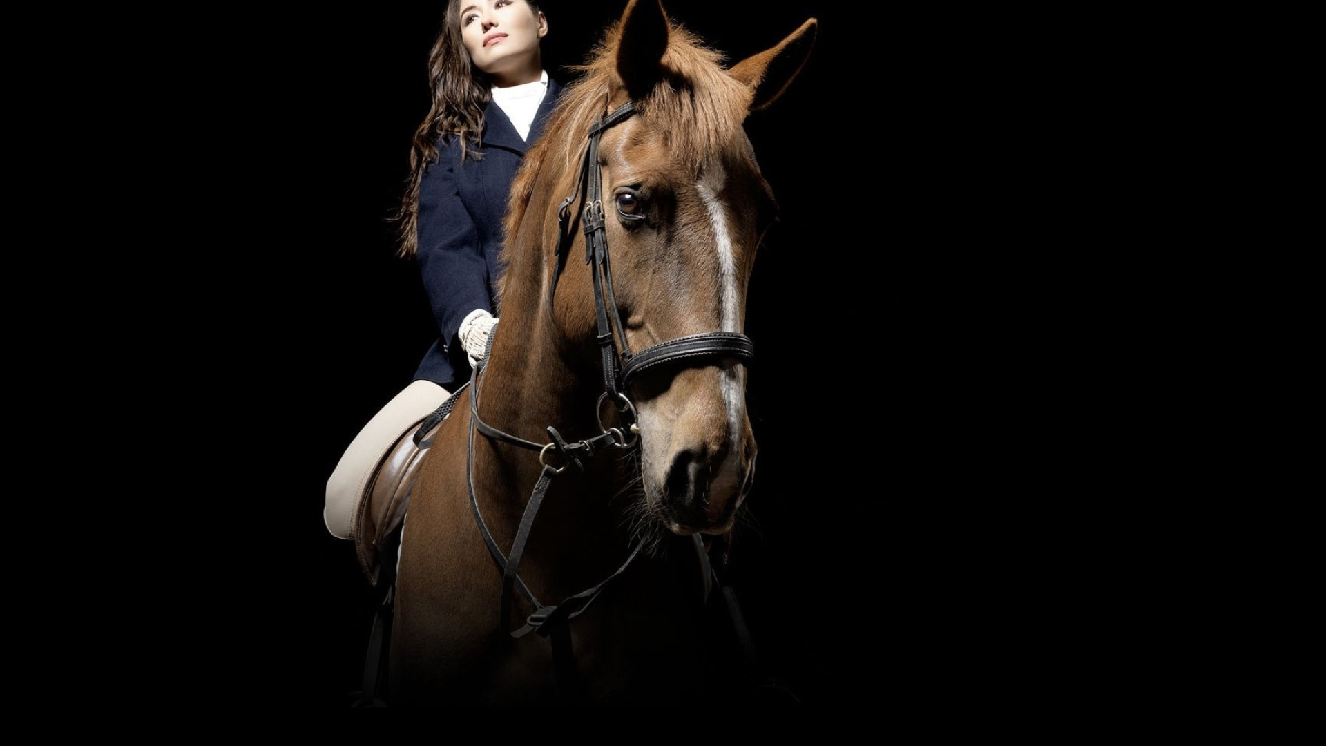 Equestrian wallpapers, Horse images, Riding scenes, Equestrian beauty, 1920x1080 Full HD Desktop