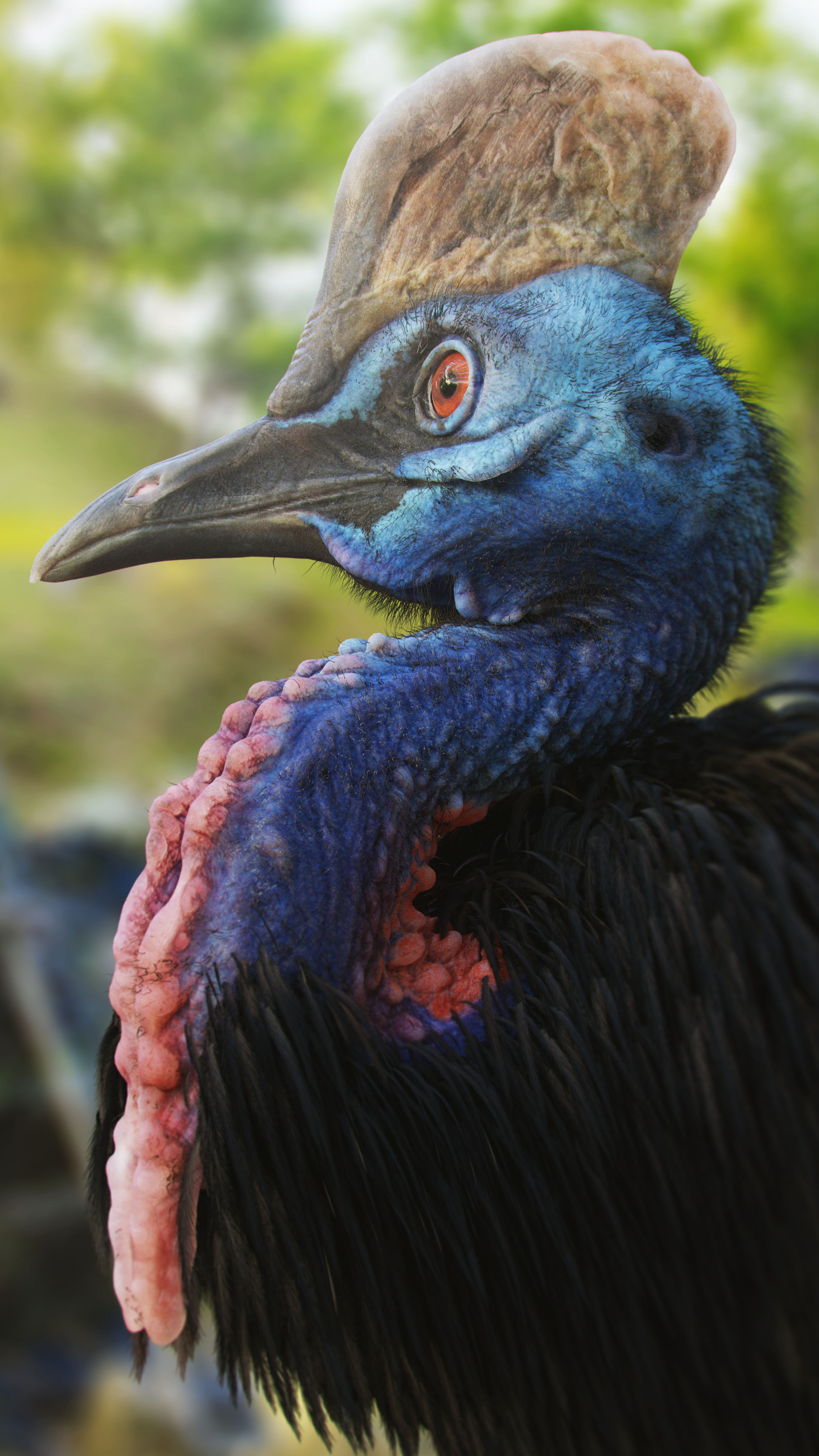 Southern cassowary artwork, 3D modeling project, Blender Artists Community, Digital creation, 1990x3540 HD Phone