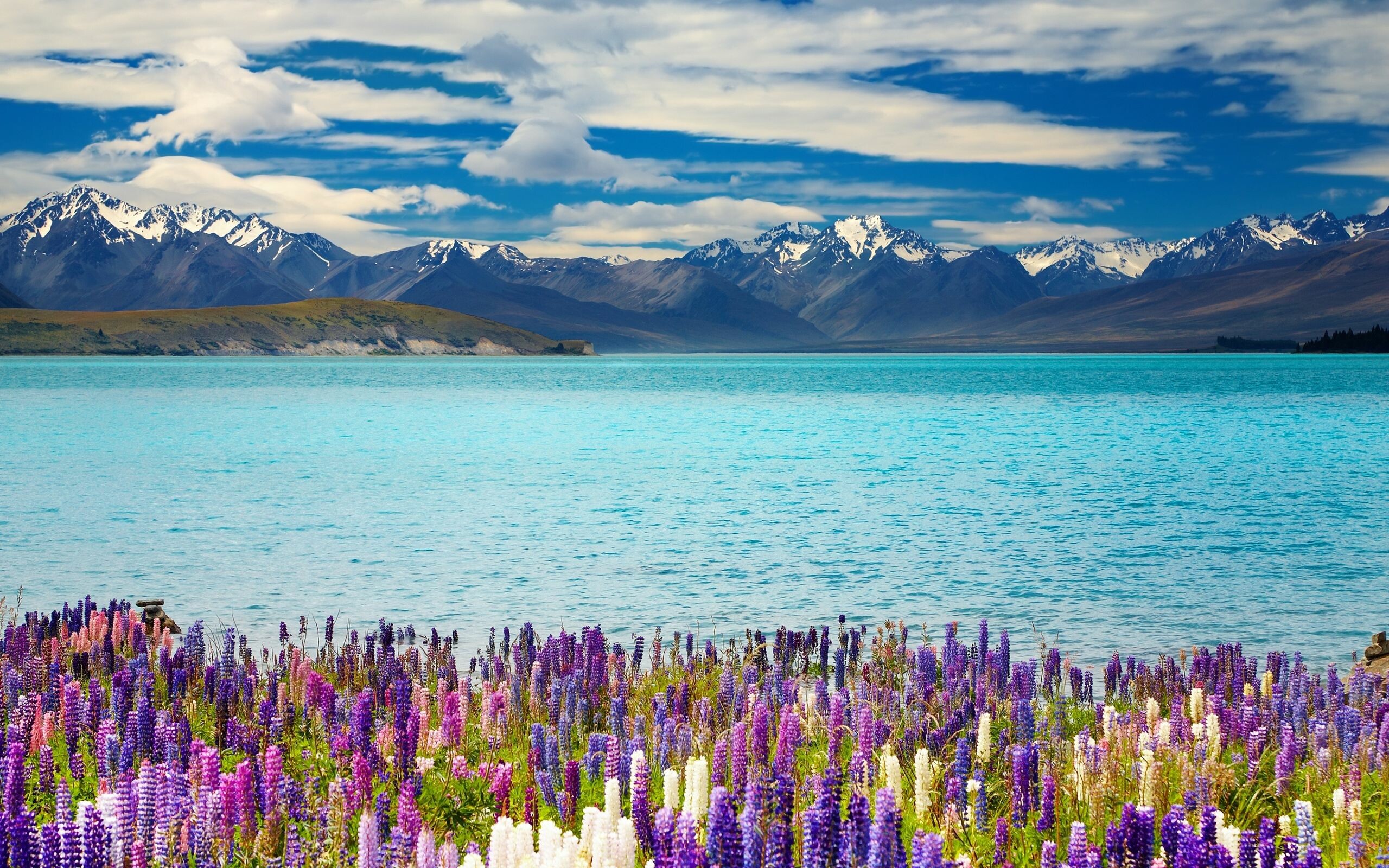 New Zealand wallpaper, Lake Tekapo, Ultra HD wallpaper, Scenic beauty, 2560x1600 HD Desktop