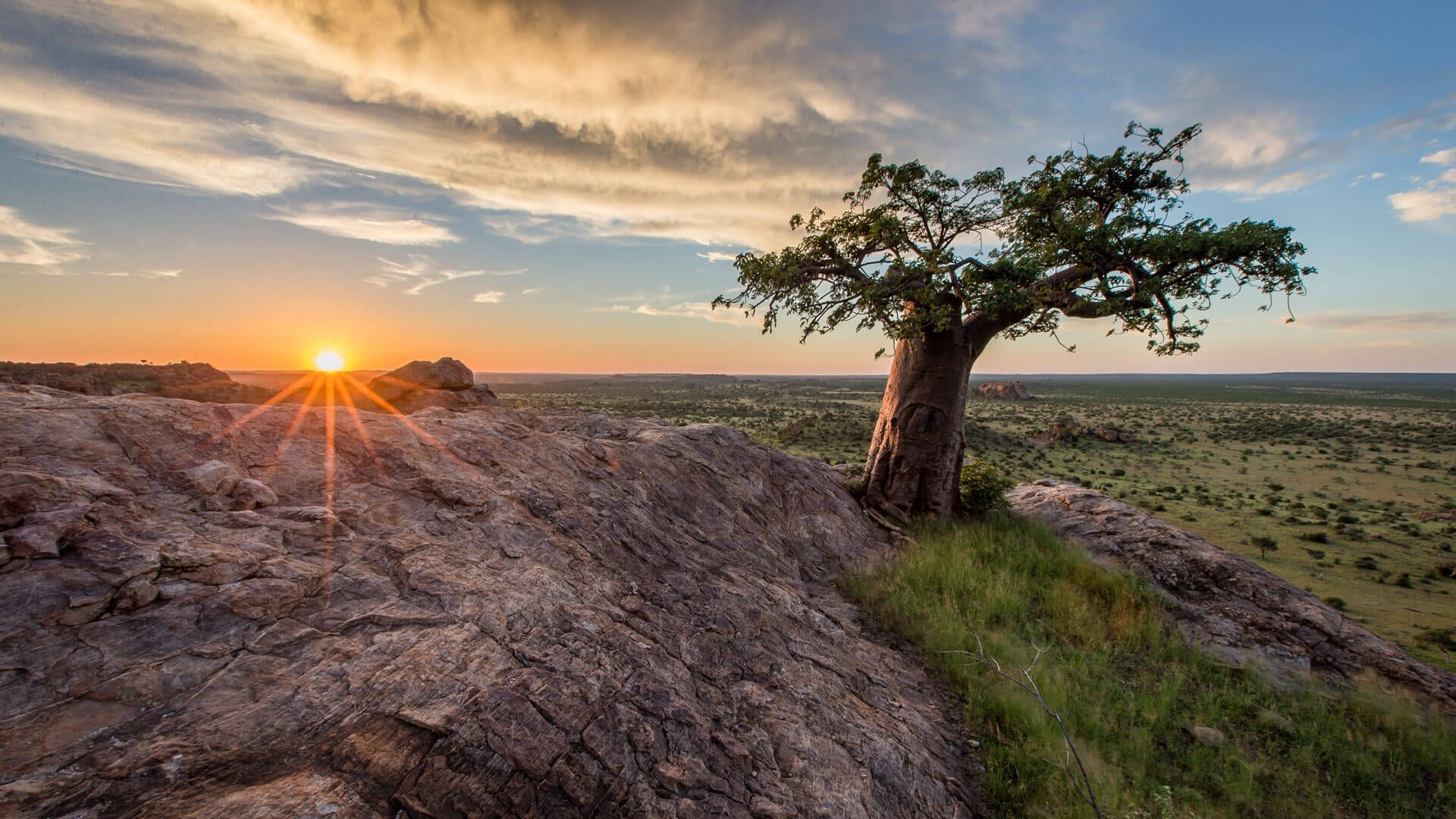 Mashatu Game Reserve, Luxury African safaris, Adventure awaits, Unforgettable experiences, 1920x1080 Full HD Desktop