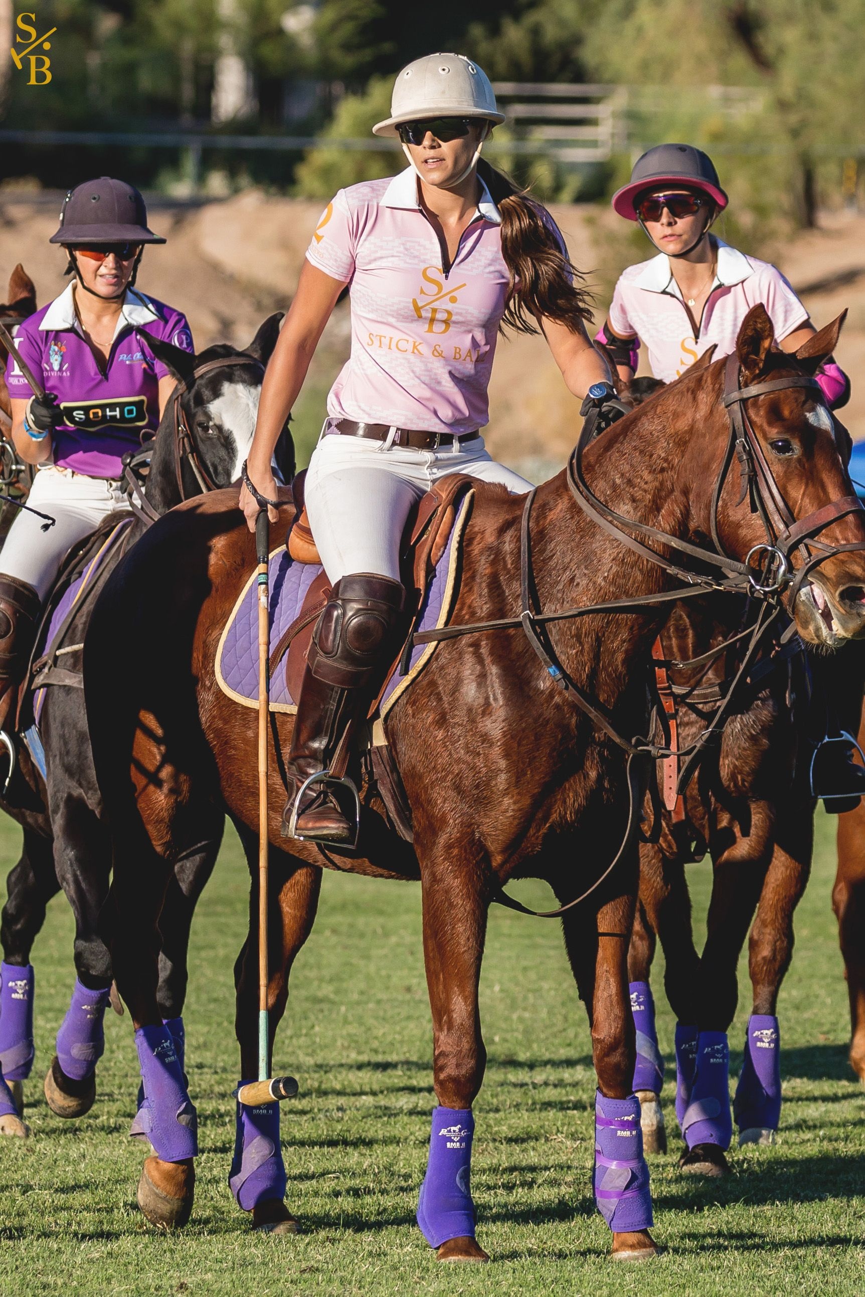 The polo vibe, Sport of kings, Horse polo inspiration, 1730x2590 HD Phone