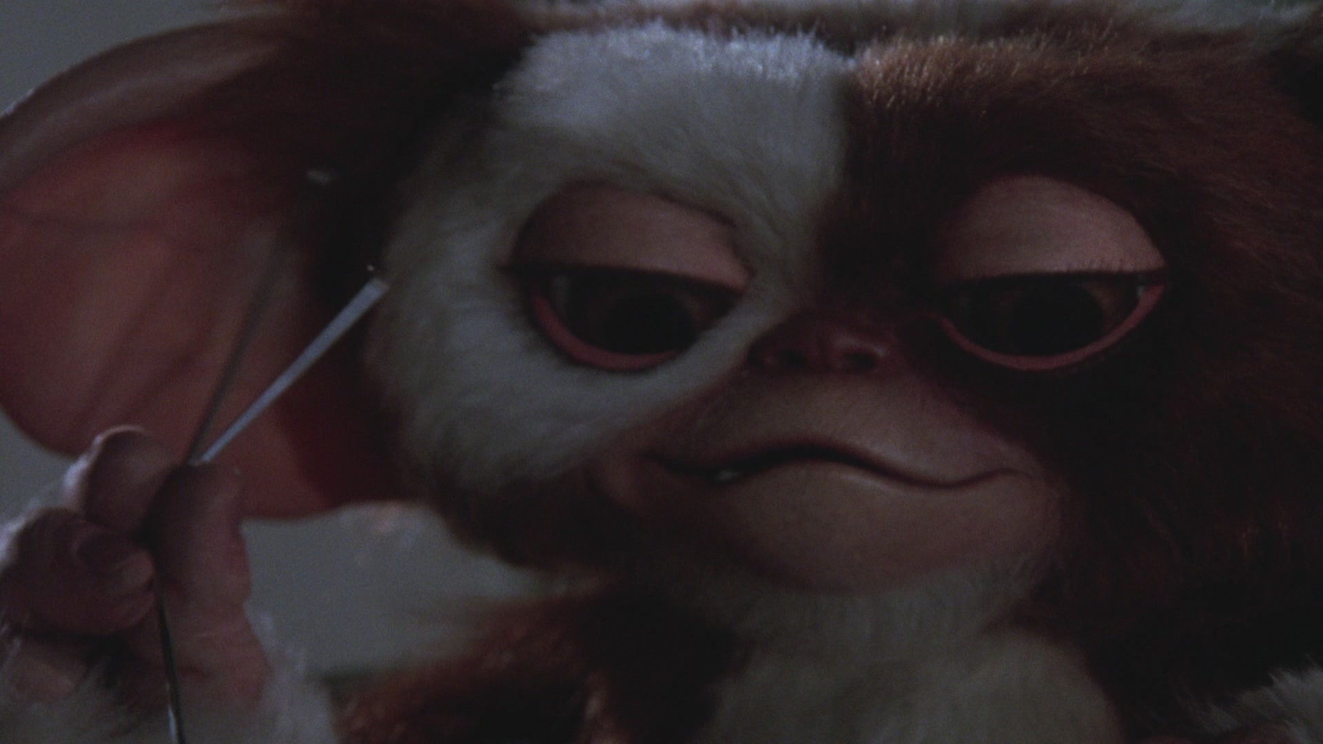 Gremlin Gizmo, Lifesize maquette, Movie collectible, Intricate creature design, 1920x1080 Full HD Desktop