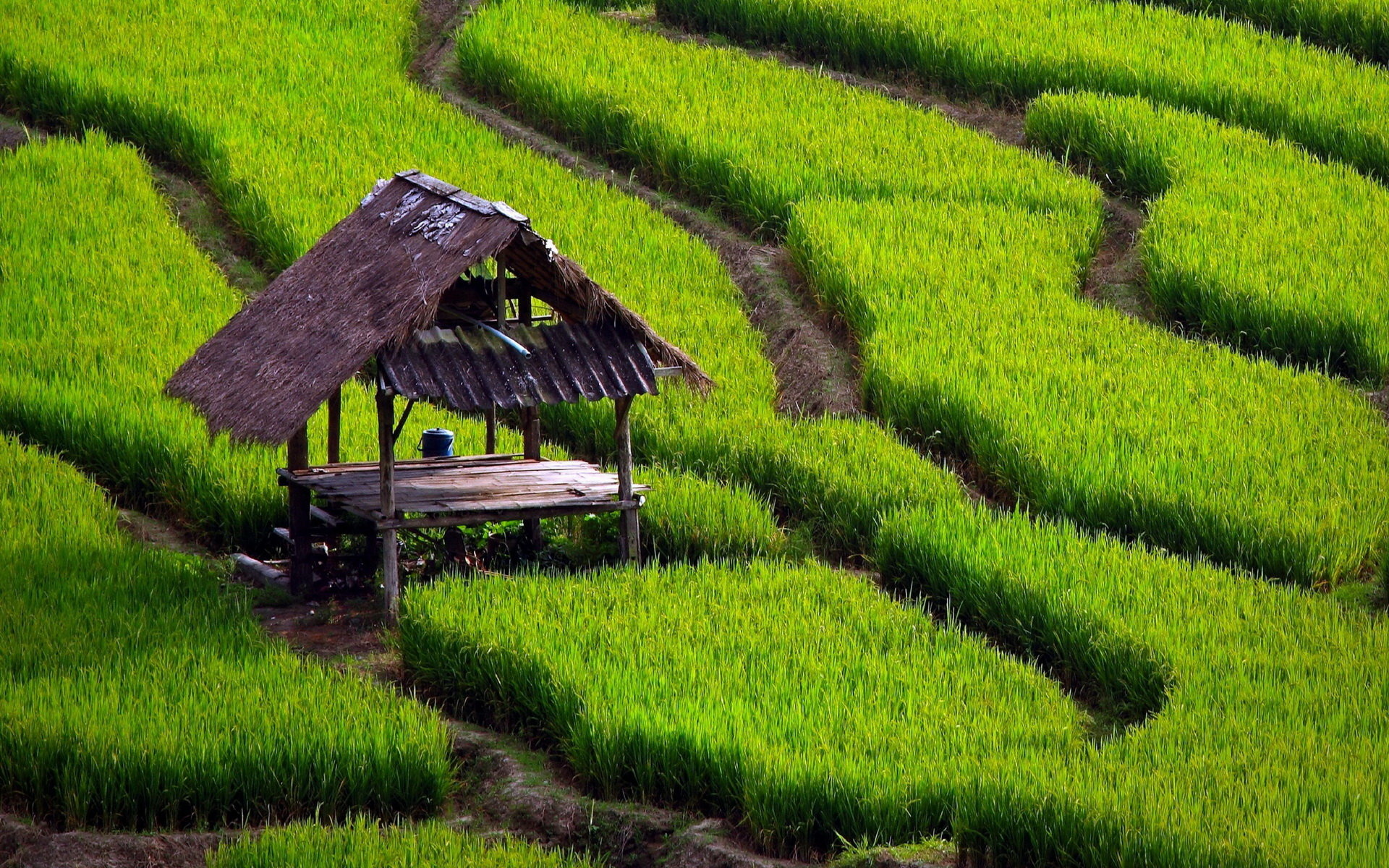 HD farm wallpaper, Free download, Rural landscapes, Farming beauty, 1920x1200 HD Desktop