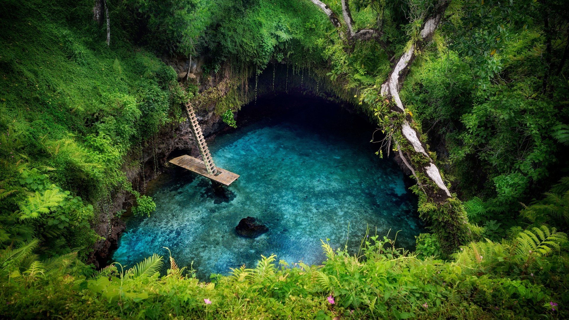 Crown jewel, Pacific islands, Microsoft wallpapers, Wallpaperhub, 1920x1080 Full HD Desktop