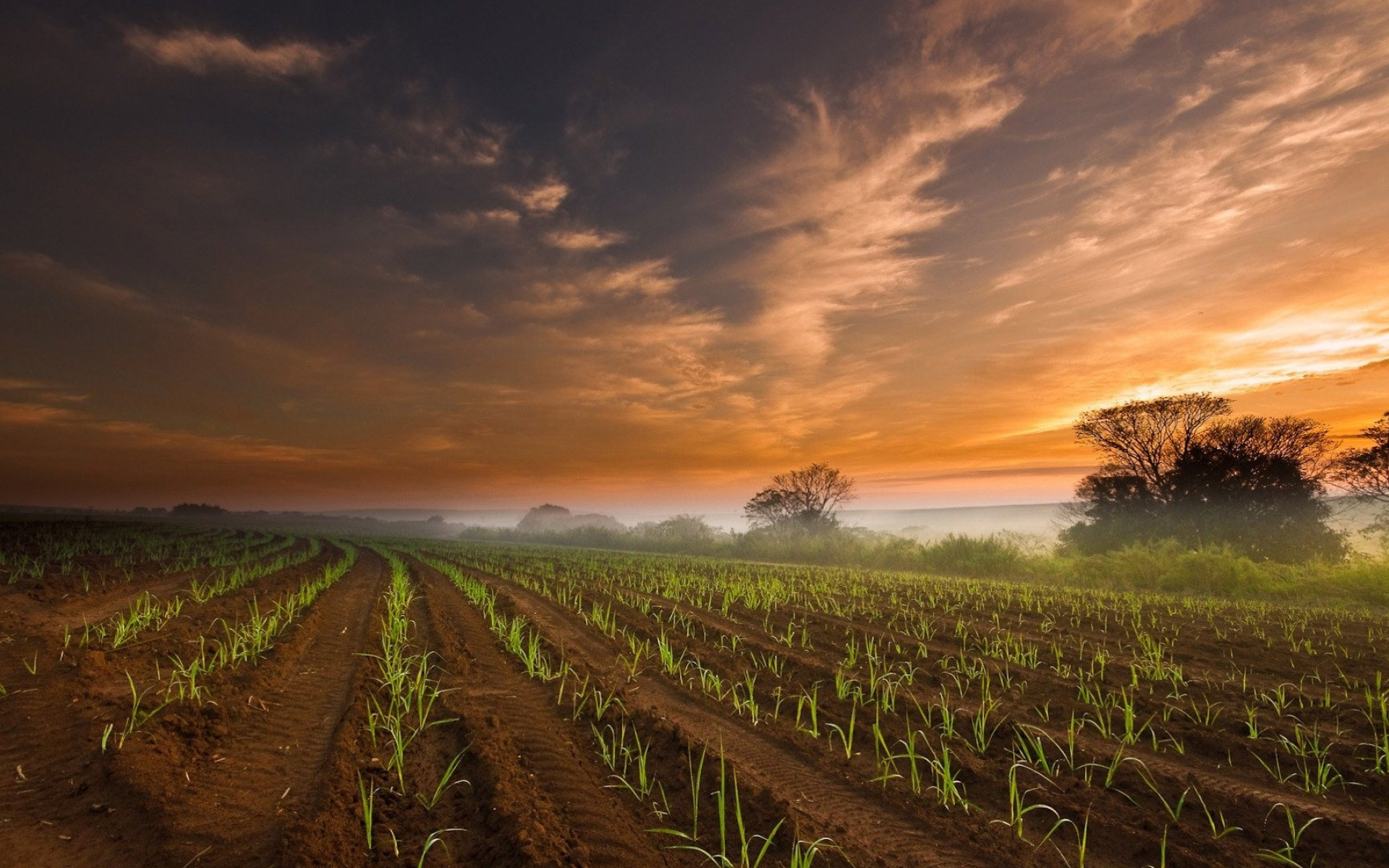 Iowa wallpaper desktop, Iowa Hawkeyes, Iowa State University, Desktop backgrounds, 1920x1200 HD Desktop