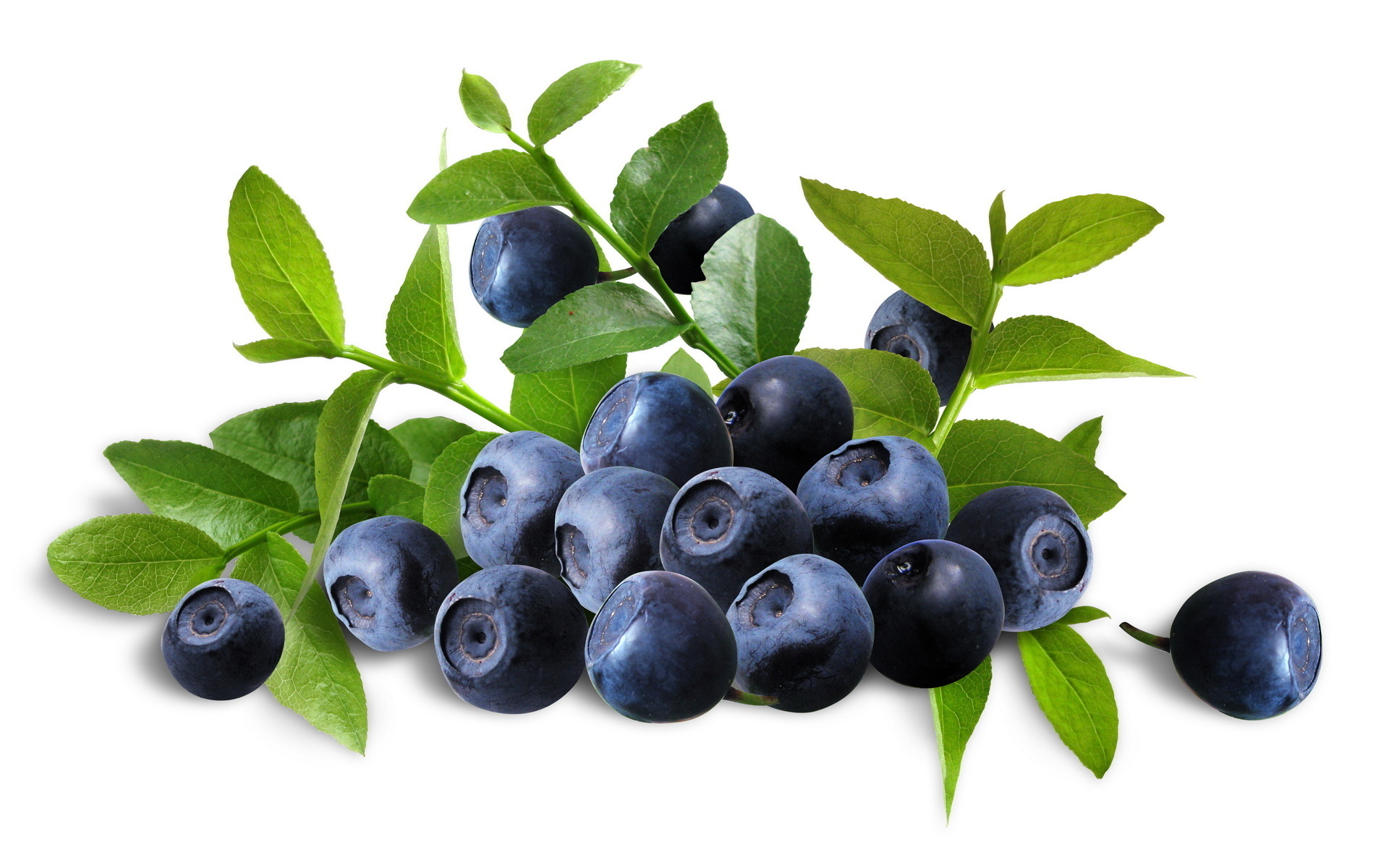 Food, Blueberry wallpaper, High definition, 1920x1200 HD Desktop