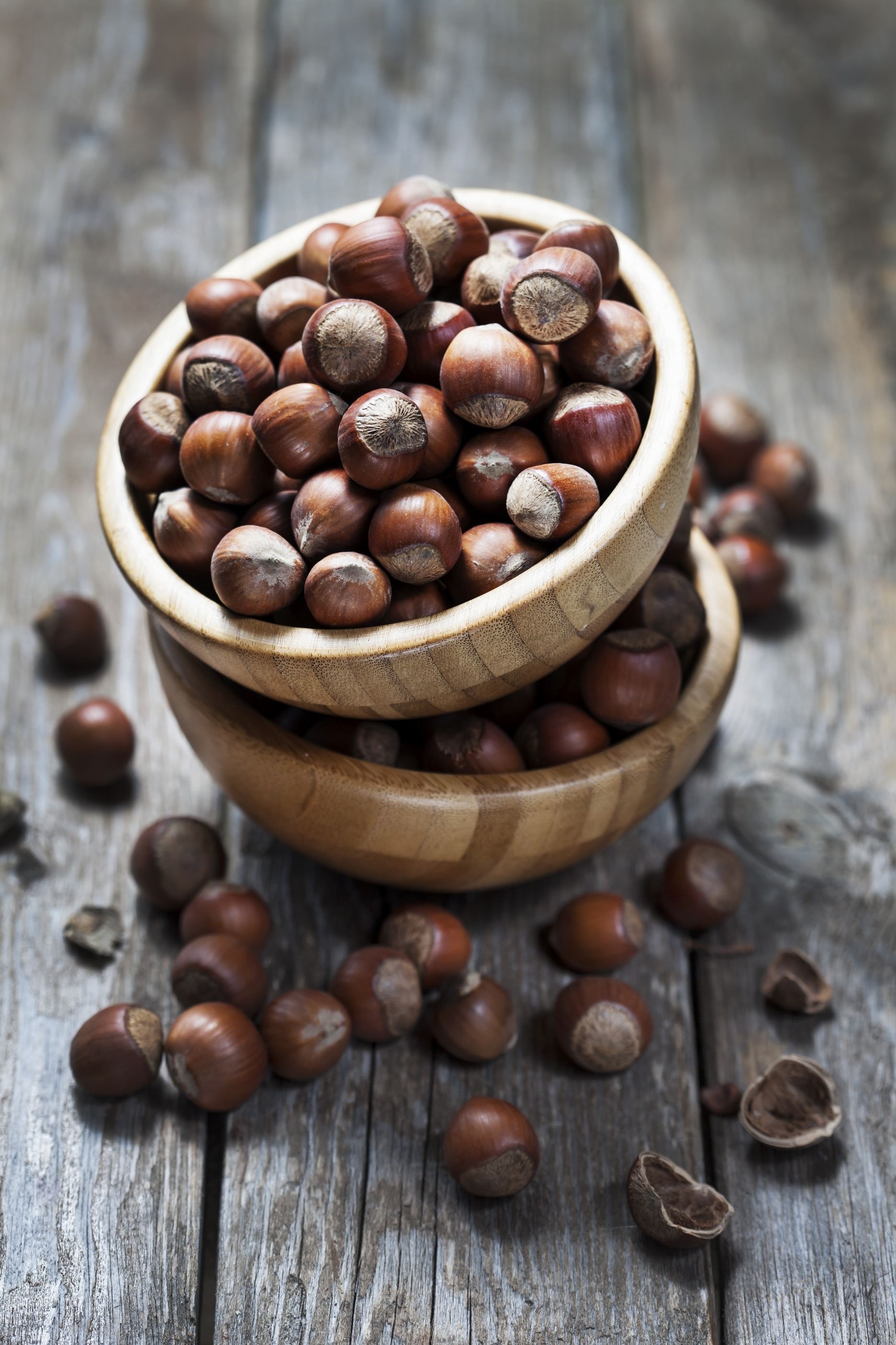 Hazelnuts, Wallpaper delight, Nutty admiration, Picture perfect, 1880x2810 HD Phone