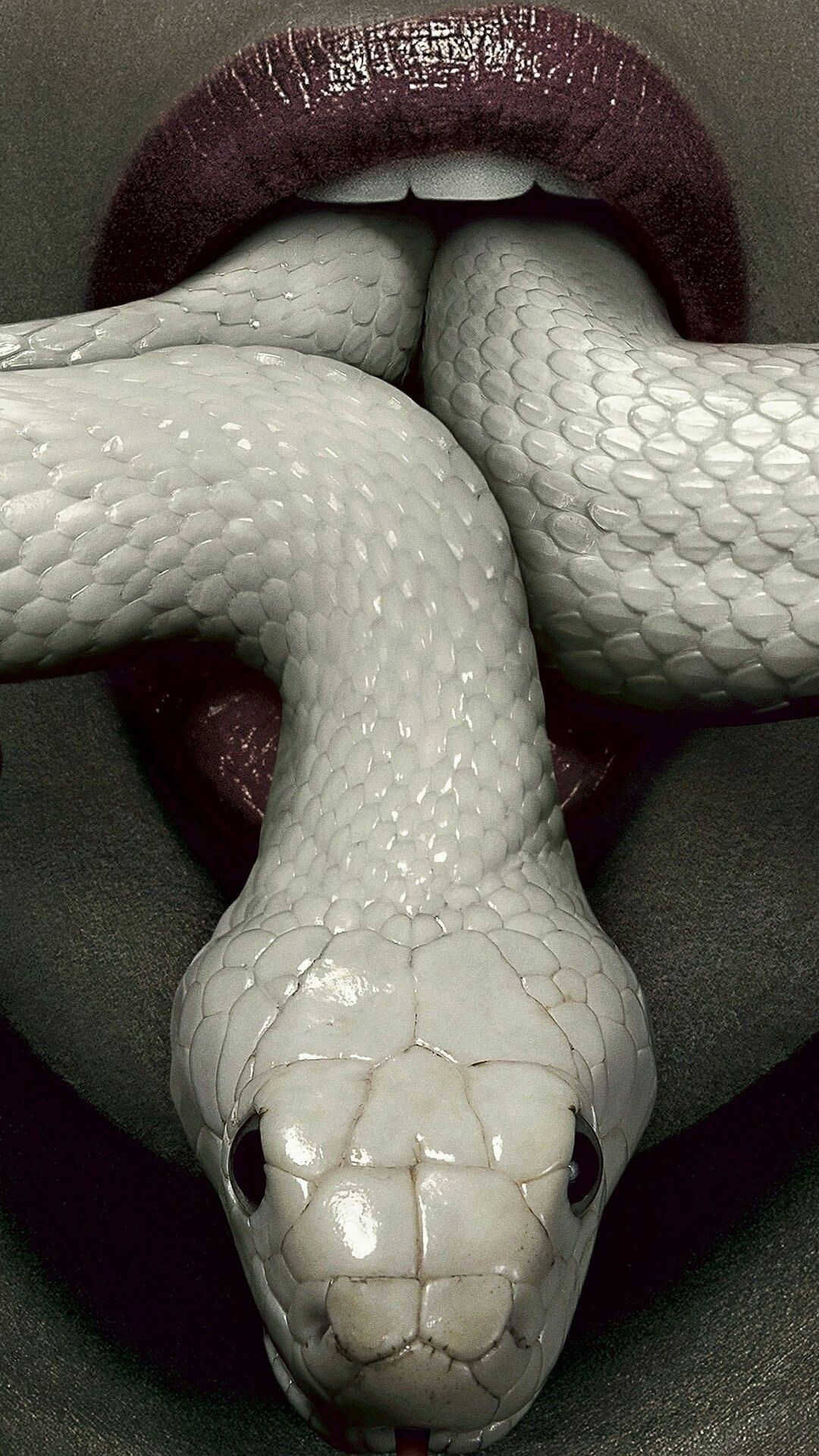 Snake iPhone wallpapers, Sleek and slithering, iPhone background, Focus on snake's eyes, 1080x1920 Full HD Phone